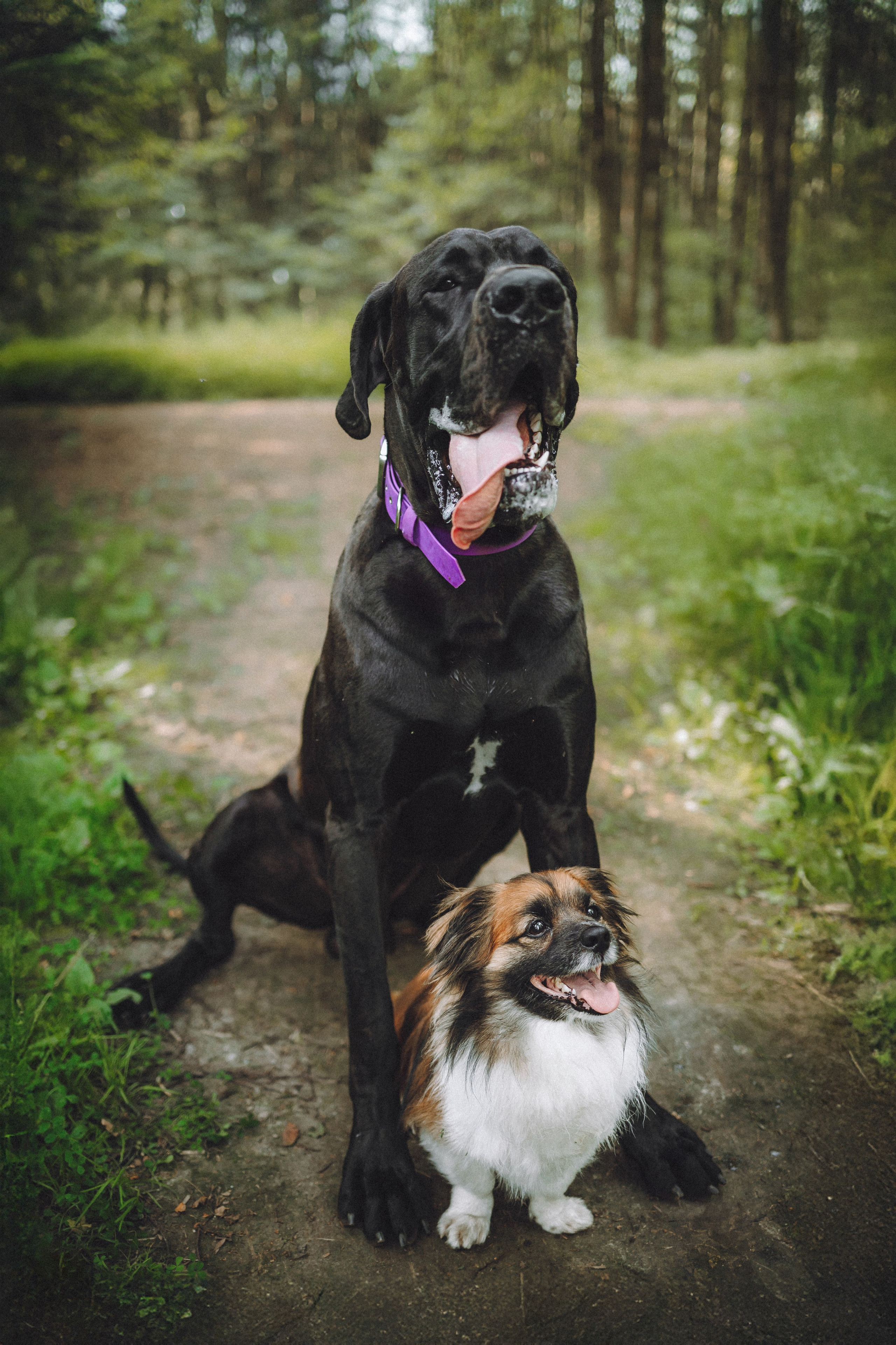 Катя, Андрей, Гектор, Ричи, Тортик и Трой