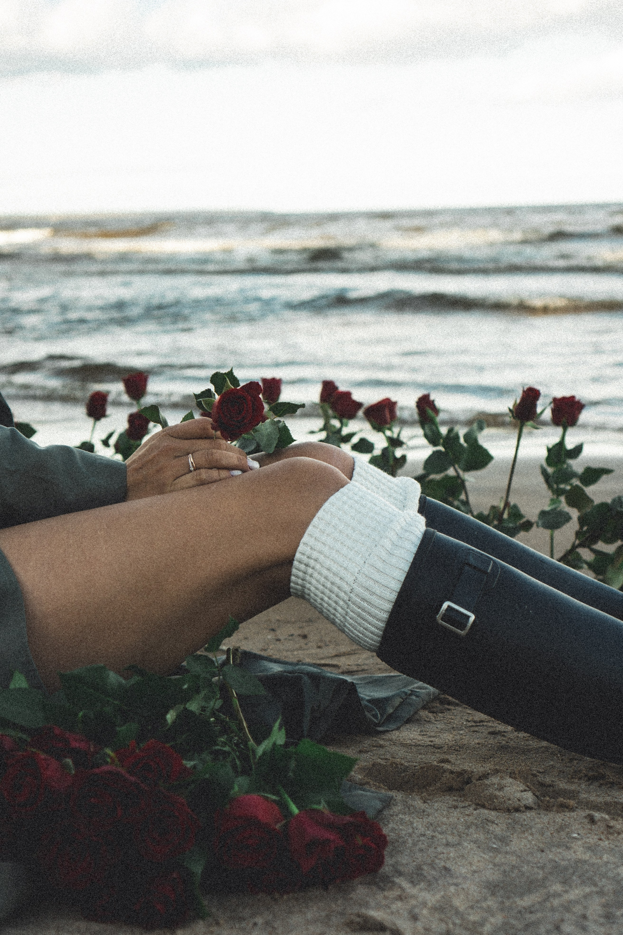 Розы. Профессиональный фотограф, Санкт-Петербург — Виктория Богомолова