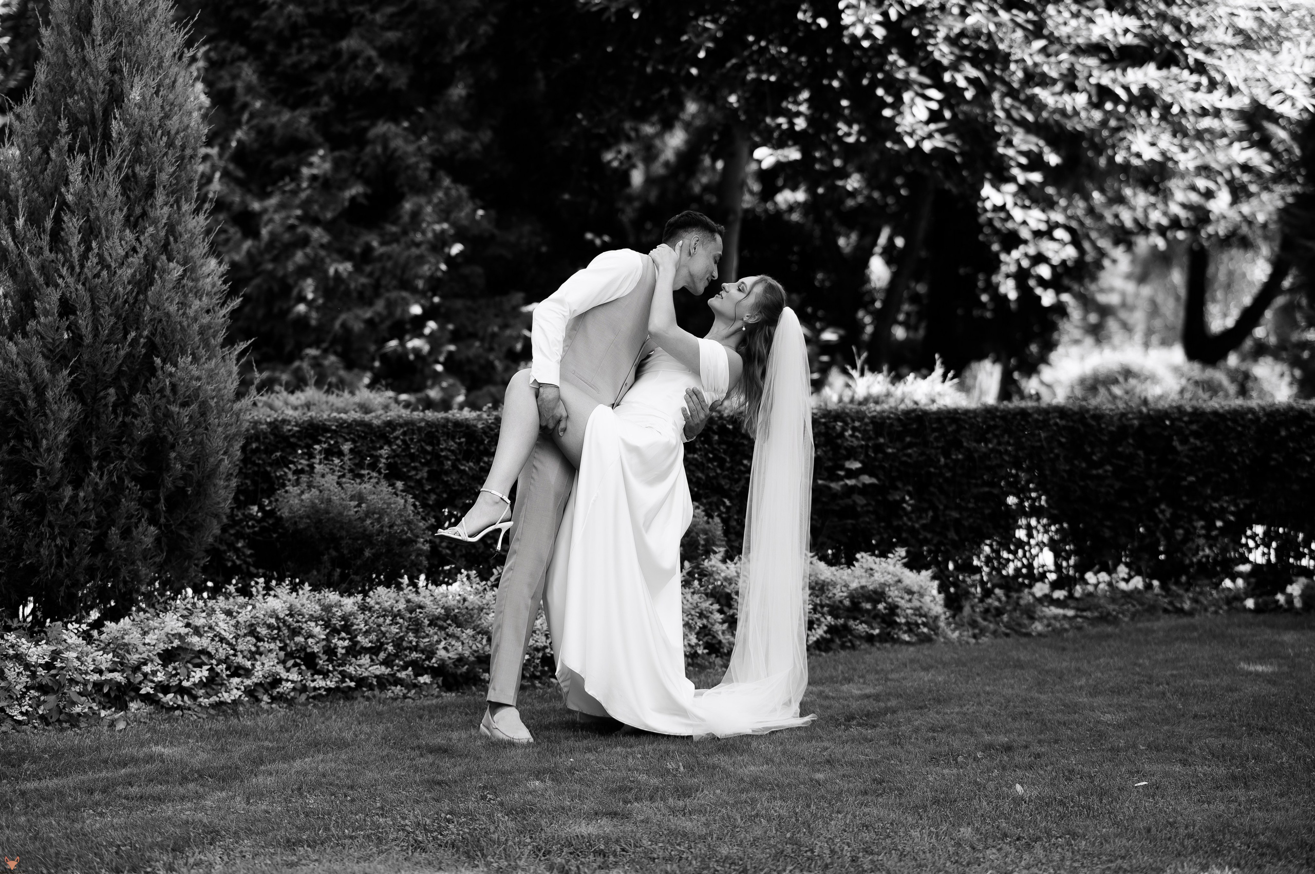 Wedding 02 08 24. Свадебный Фотограф Абакан