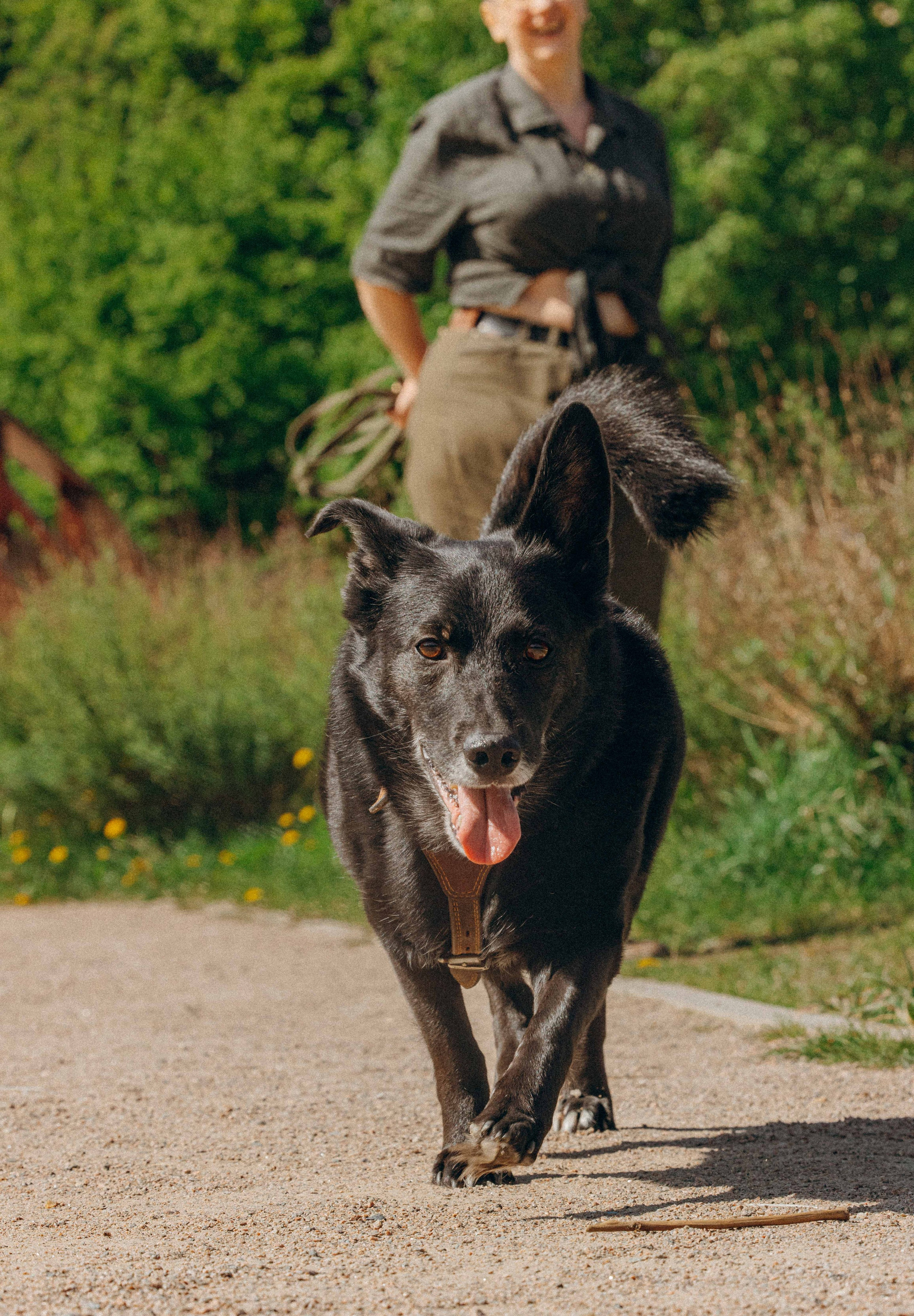 Наталья, Марфа и Норд. Фотограф-анималист в Москве Лера Черноног