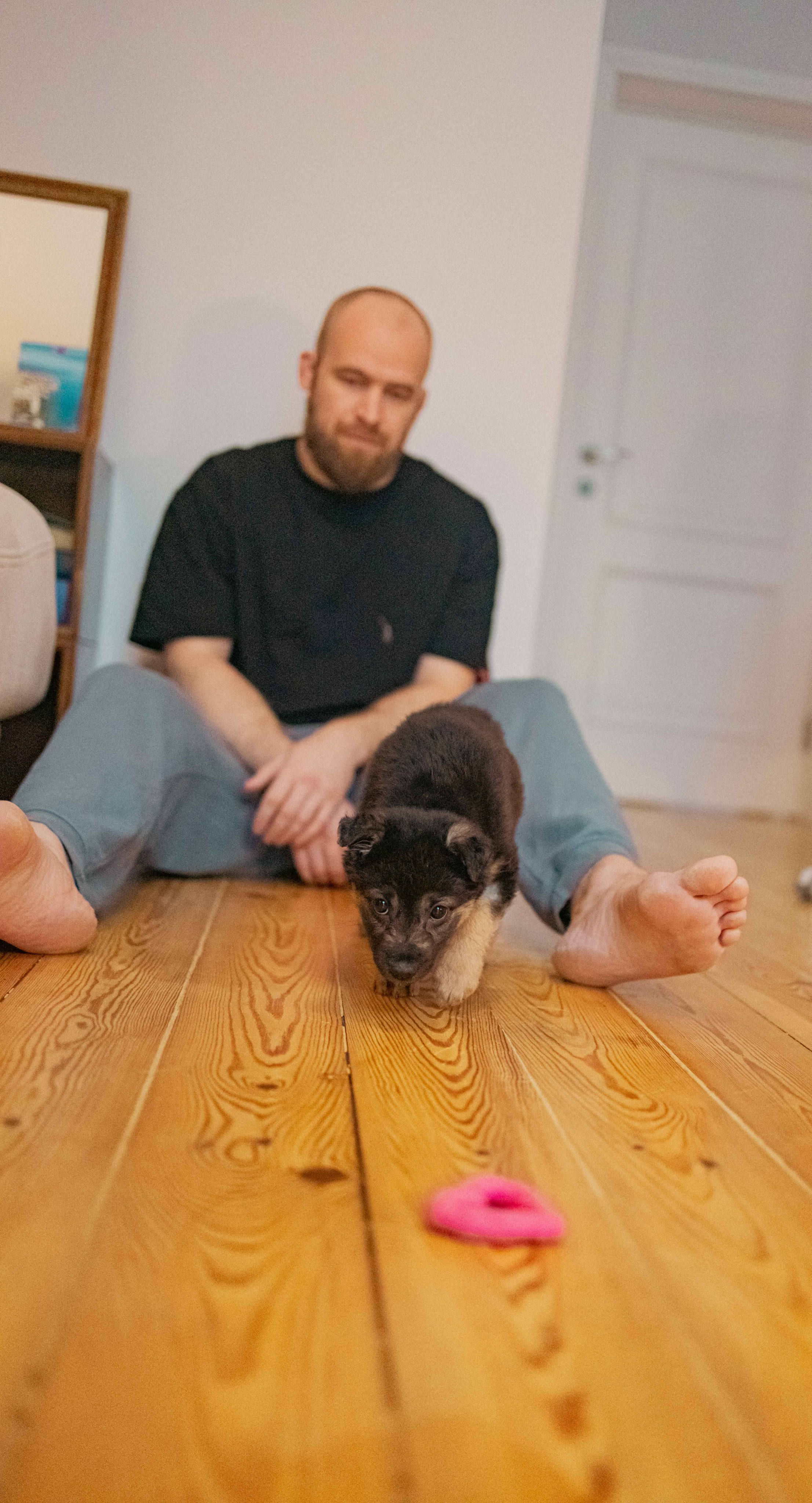 Пеппа. Фотограф-анималист в Москве Лера Черноног