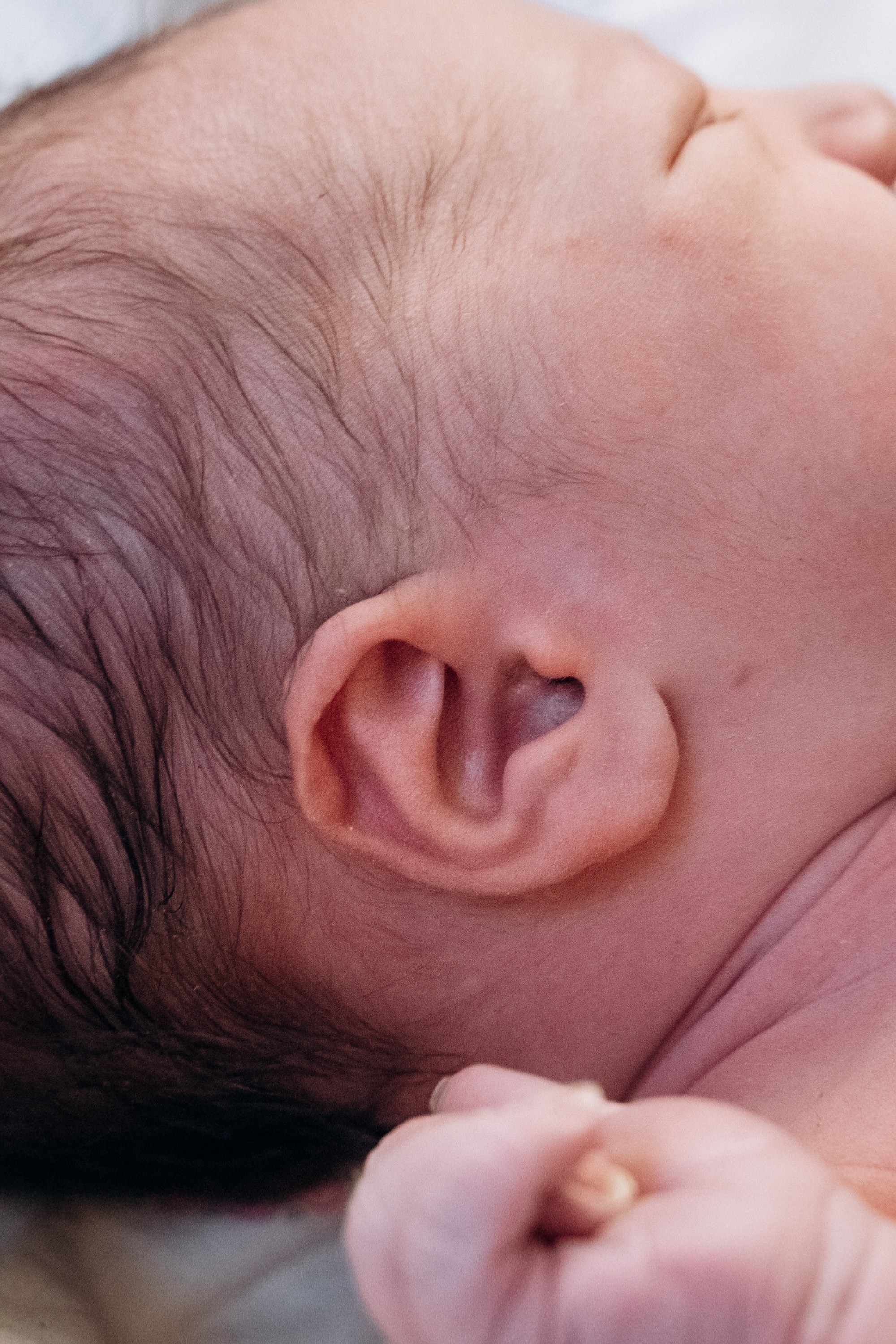 Фотограф на роды в Москве. Фотограф на роды в Москве Алла Rockymouse