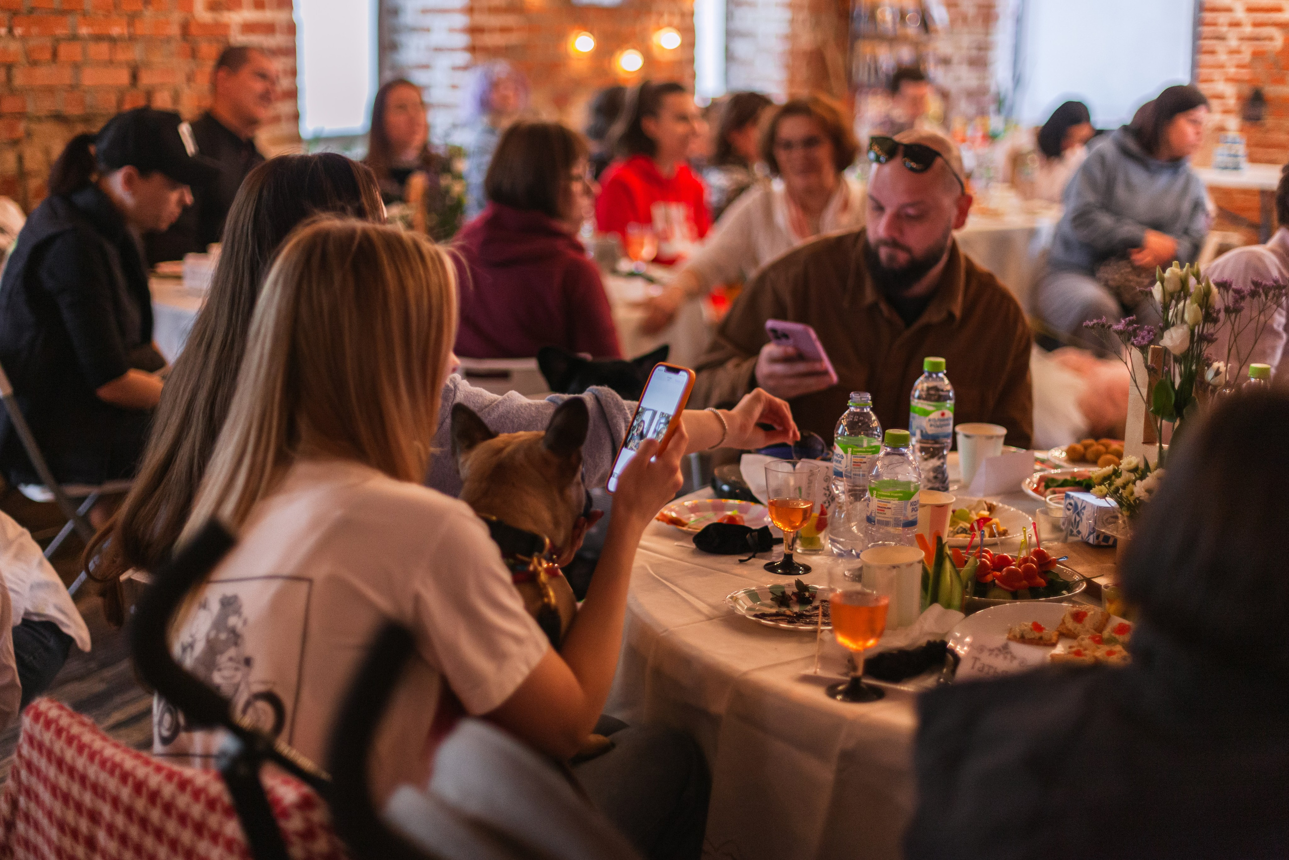 Бульбалл 23.04.2023. Фотограф-анималист Татьяна Степанова