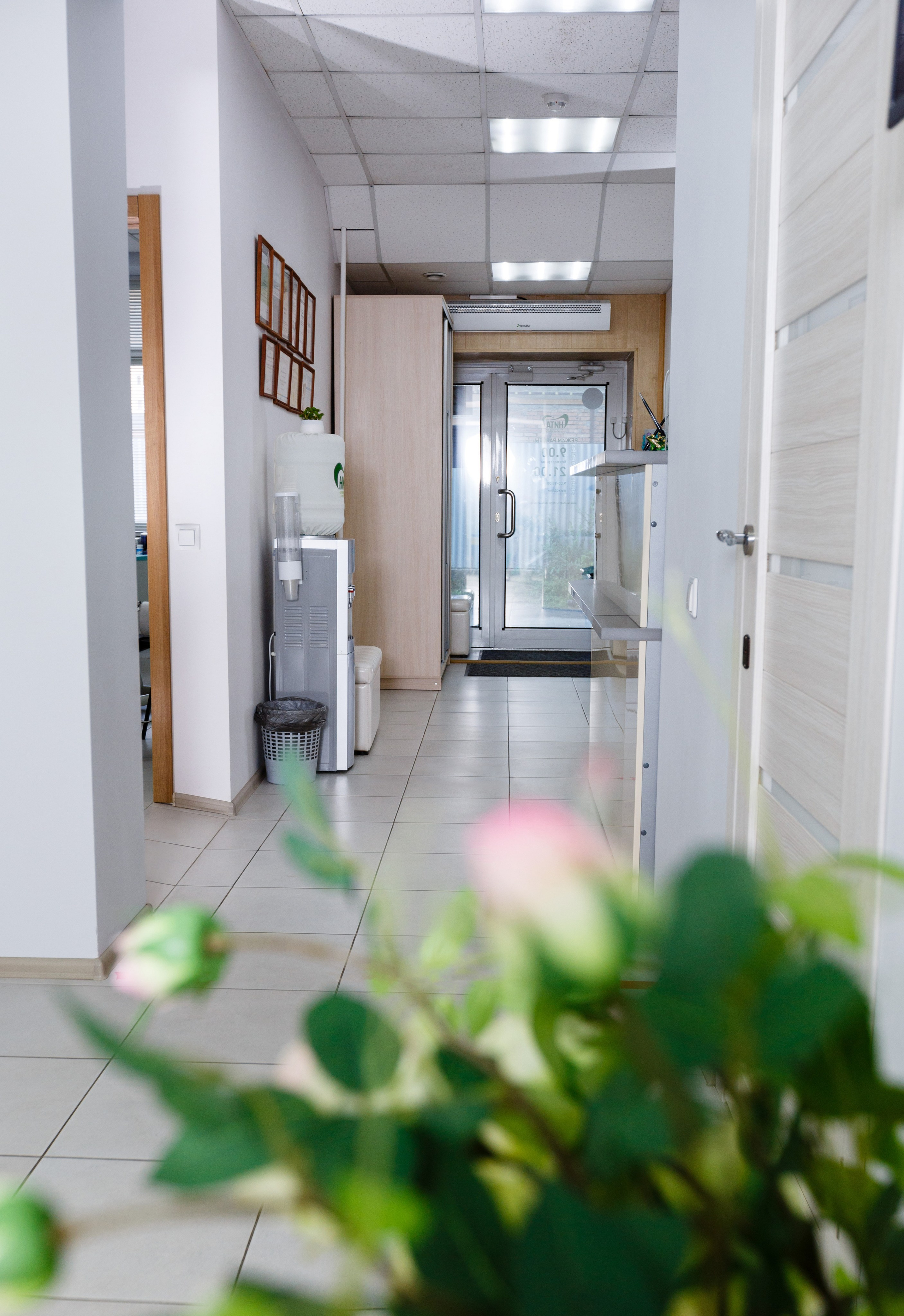 NITA СТОМАТОЛОГИЯ. Выпускные альбомы Красноярск