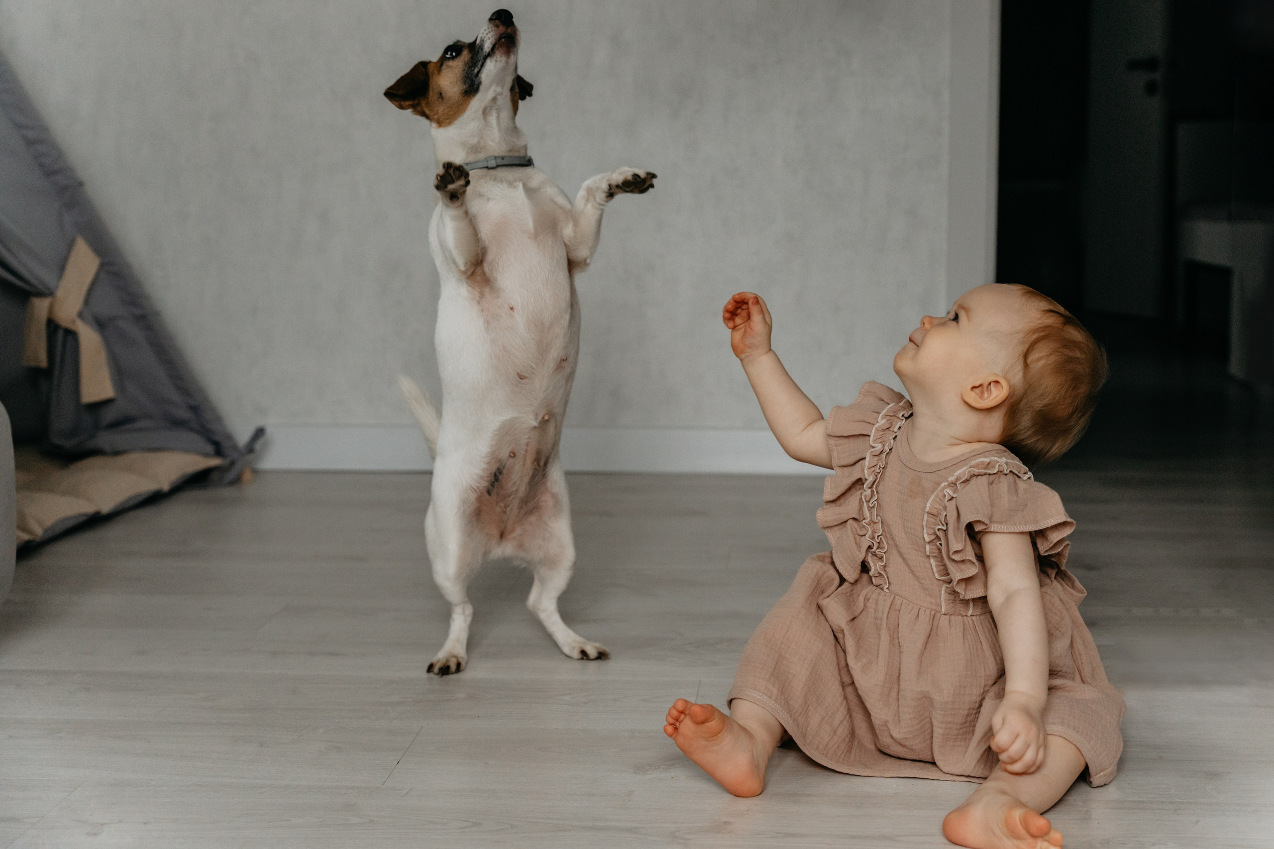 Вкусная домашняя фотосессия