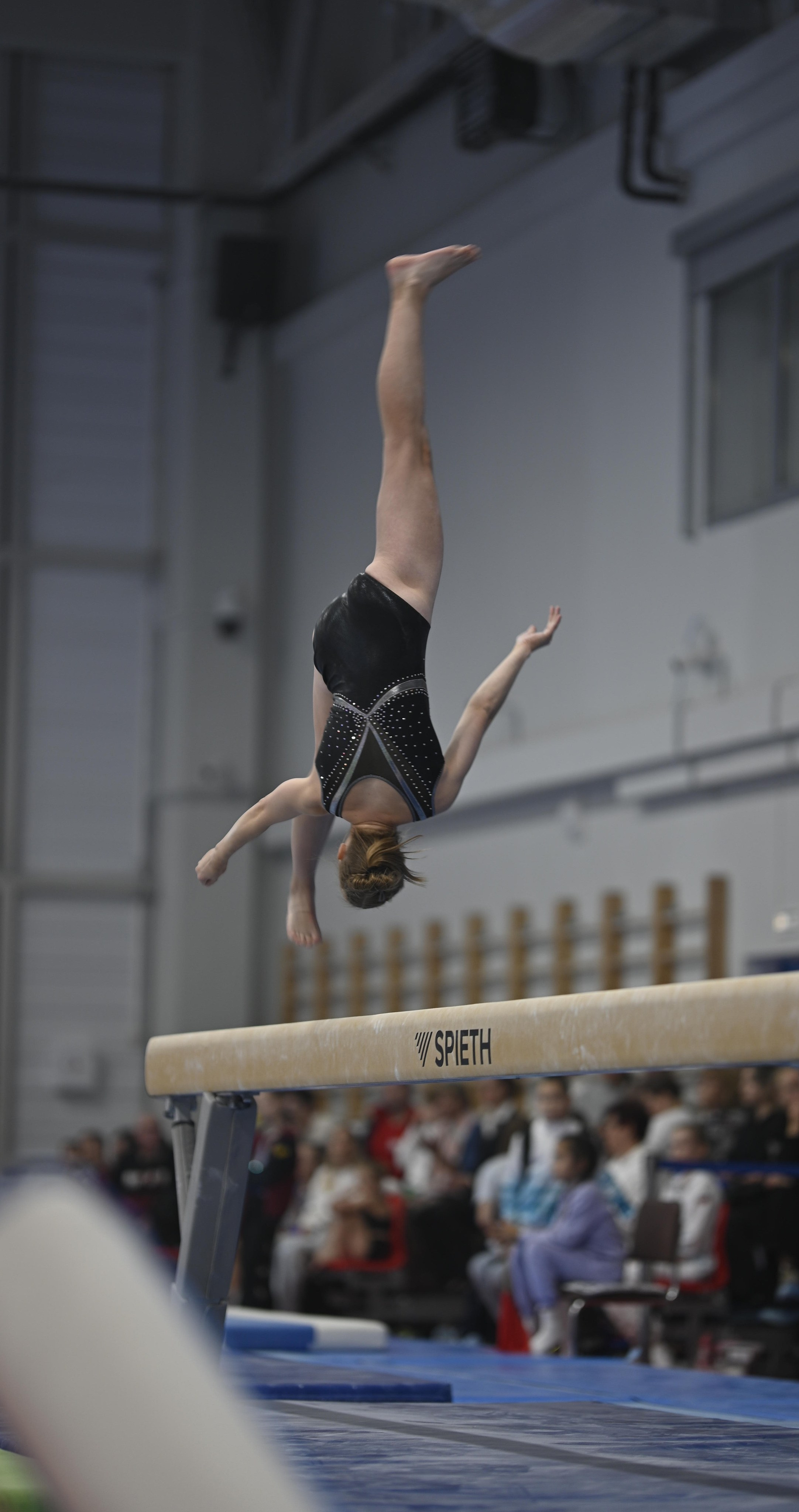 Турнир Елены Замолодчиковой. Фотограф Ваших событий 📸