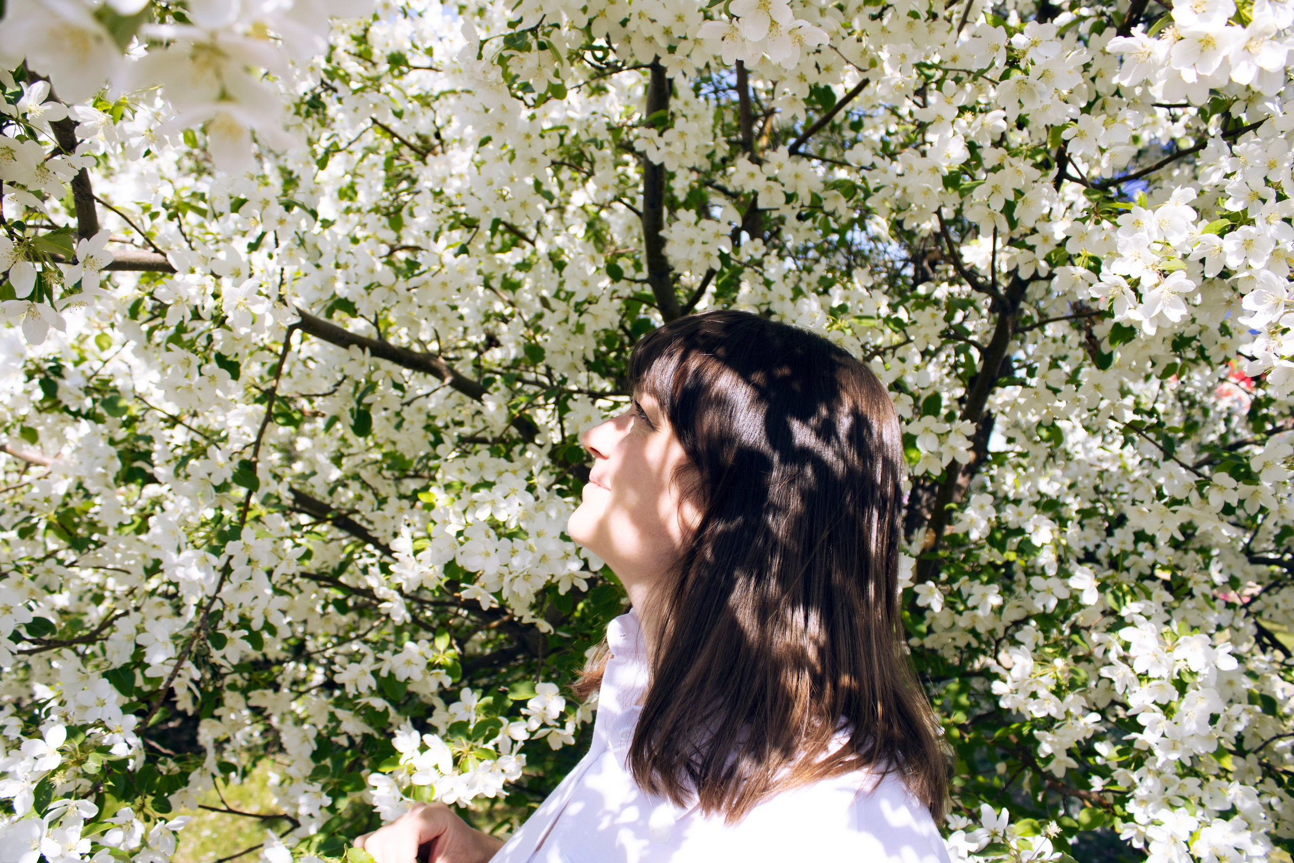 расцветание яблонь весной это всегда прекрасно 