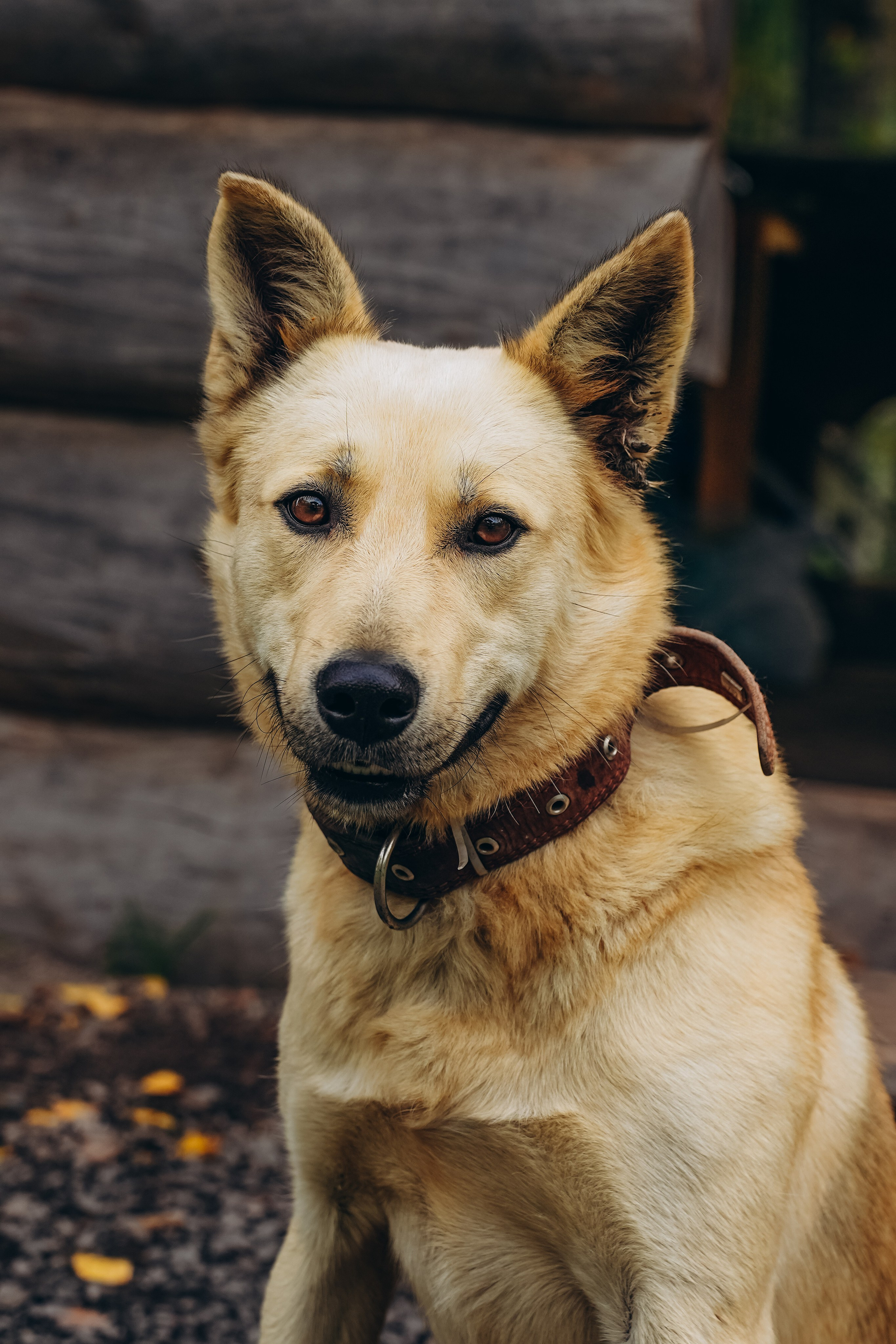 СЕВЕР. Event фотограф Степанова Александра