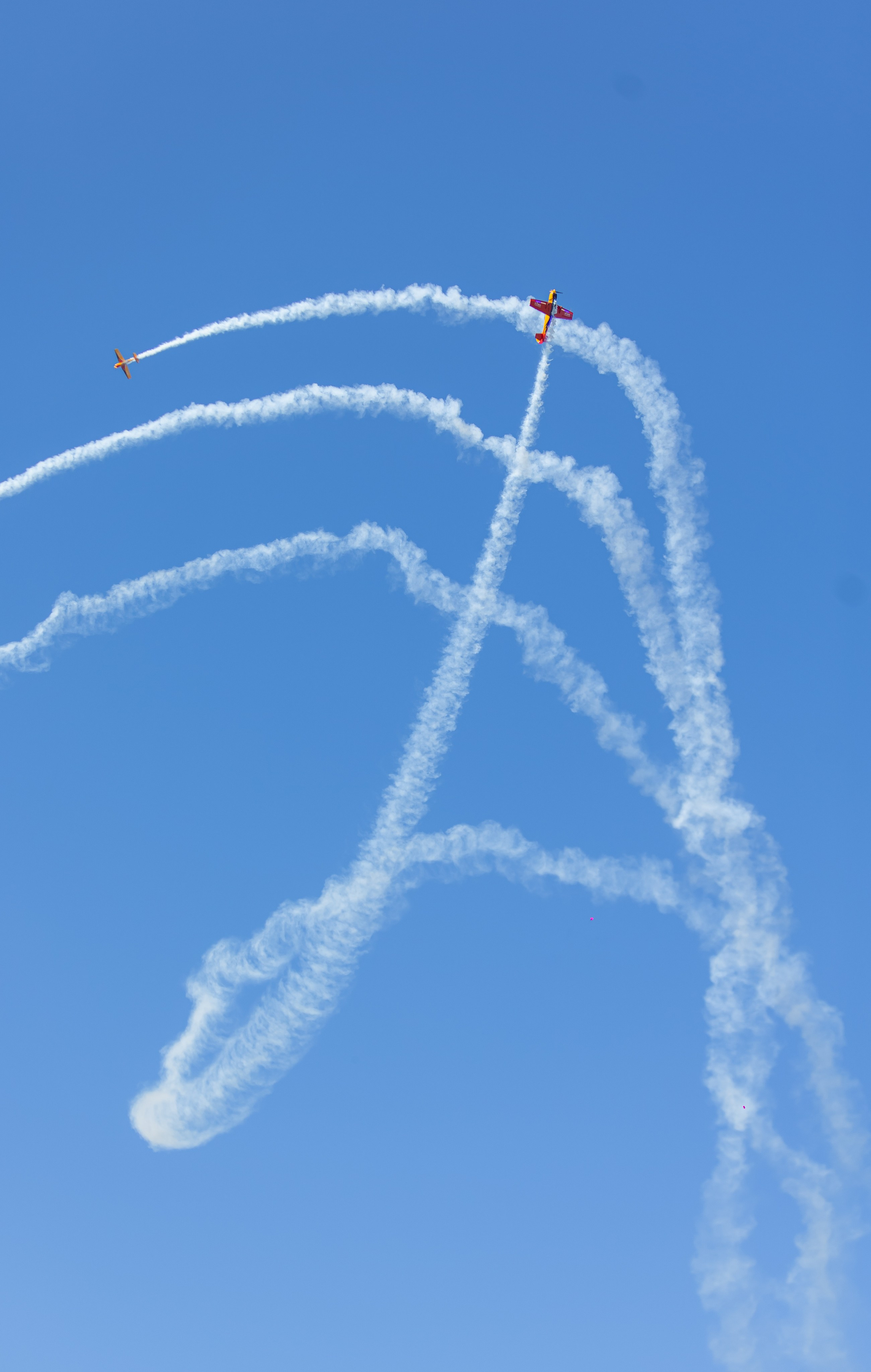 Крылья Пармы 2025 г. KATERINA VINOKUROVA ФОТОГРАФ ПЕРМЬ