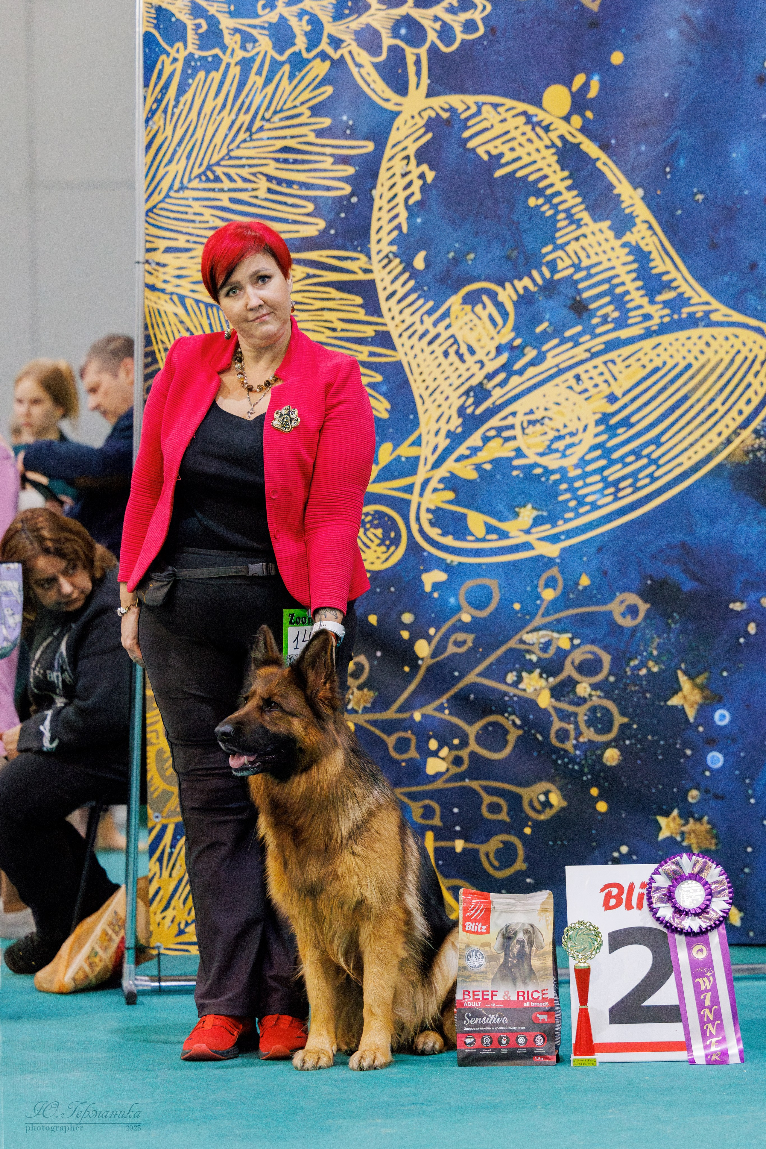 Питер ротвейлеры 18.01,Крокус 19.01.2025. Фотограф-анималист Юлия Германика