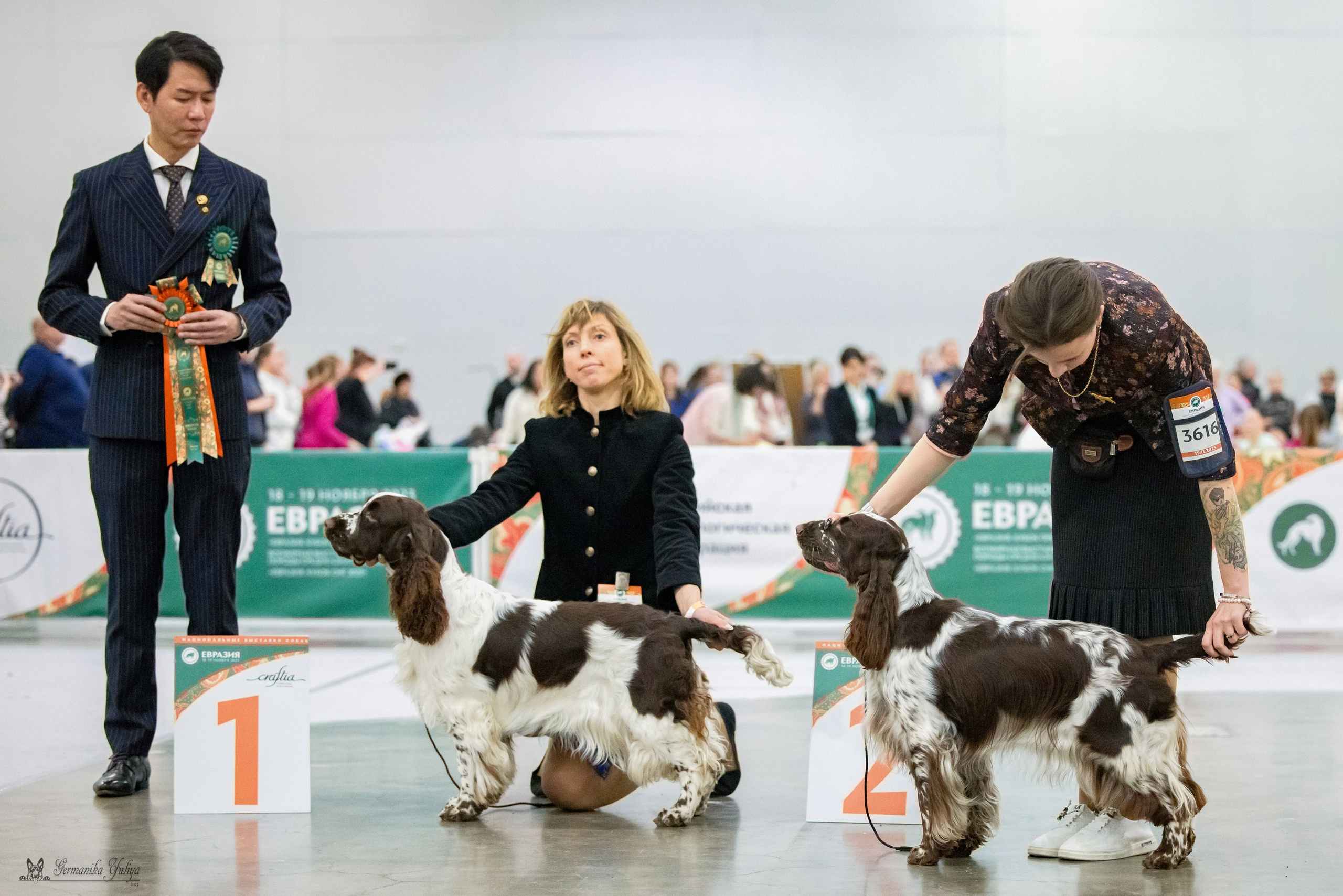 ЕВРАЗИЯ 18-19.11.2023. Фотограф-анималист Юлия Германика