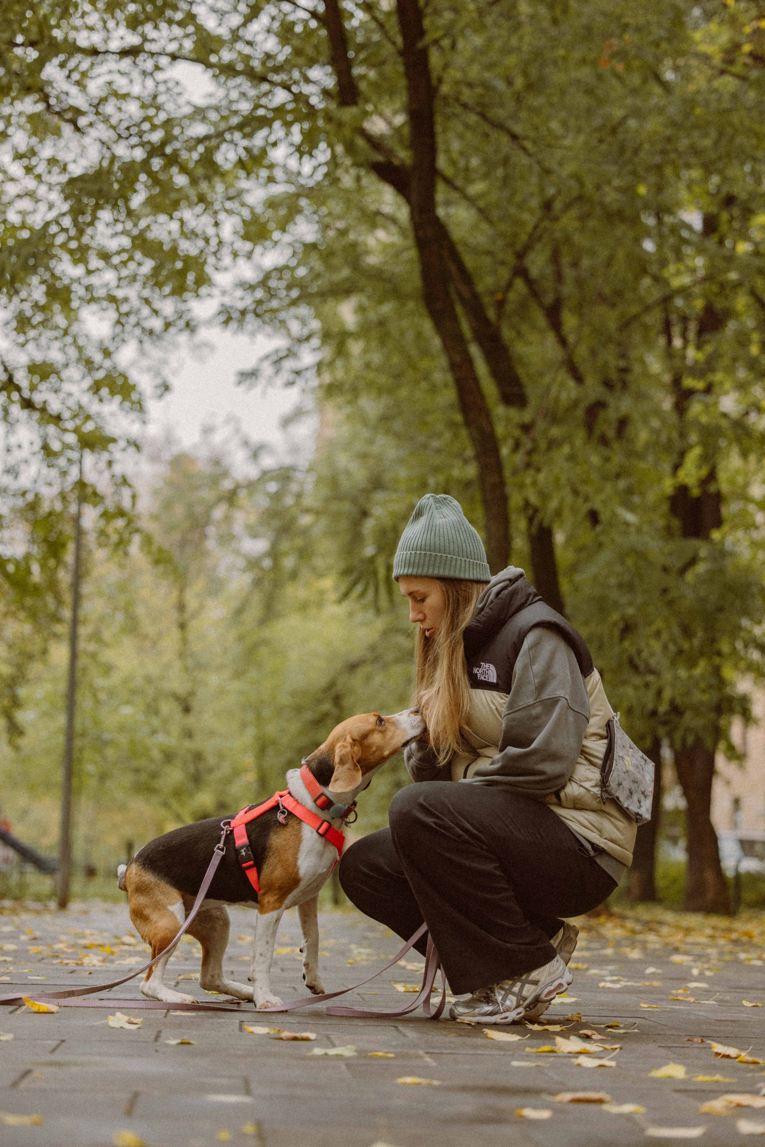 Света и Ива. Фотограф-анималист в Москве Лера Черноног