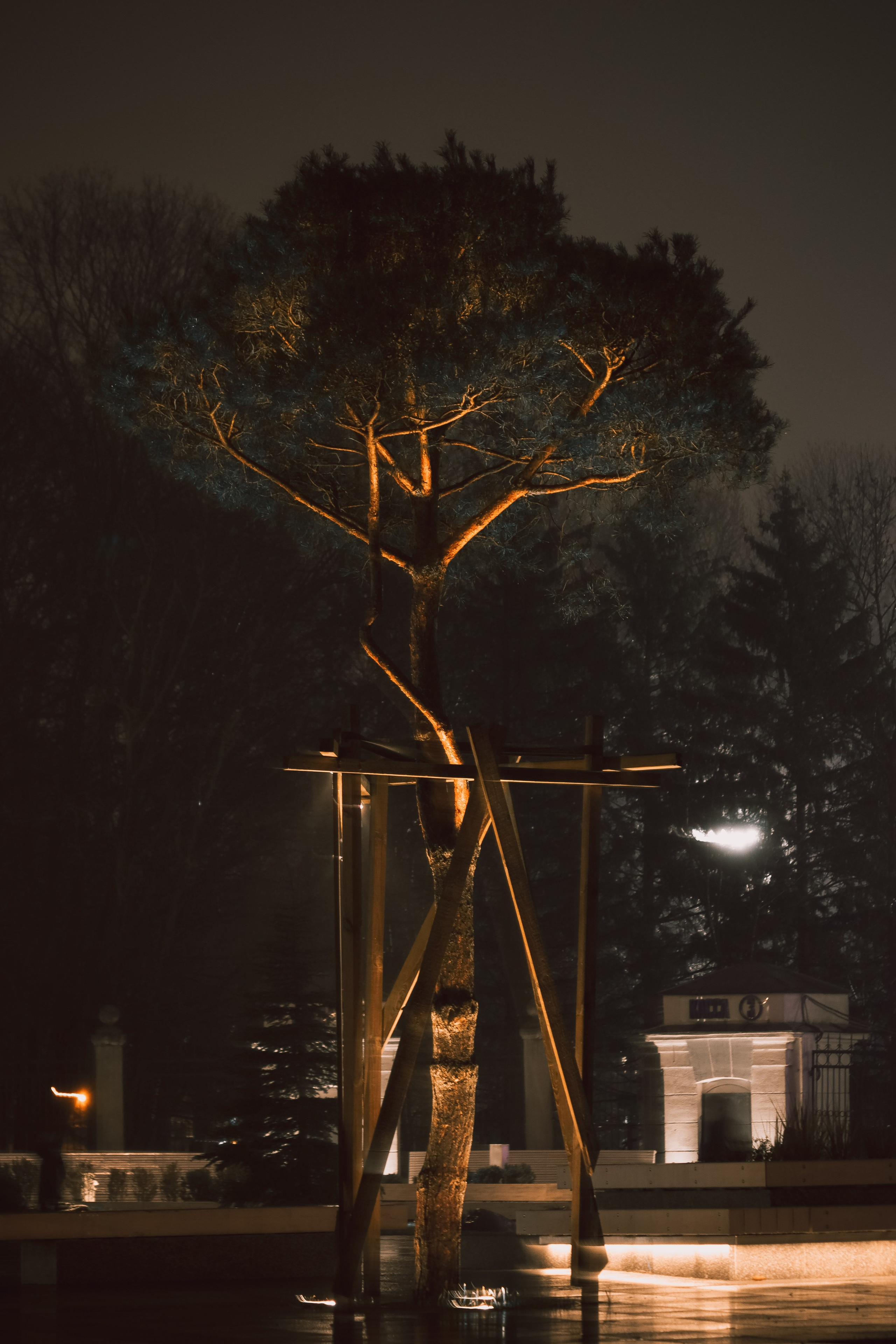 Н О Ч Н Ы Е. — Digital Noise —