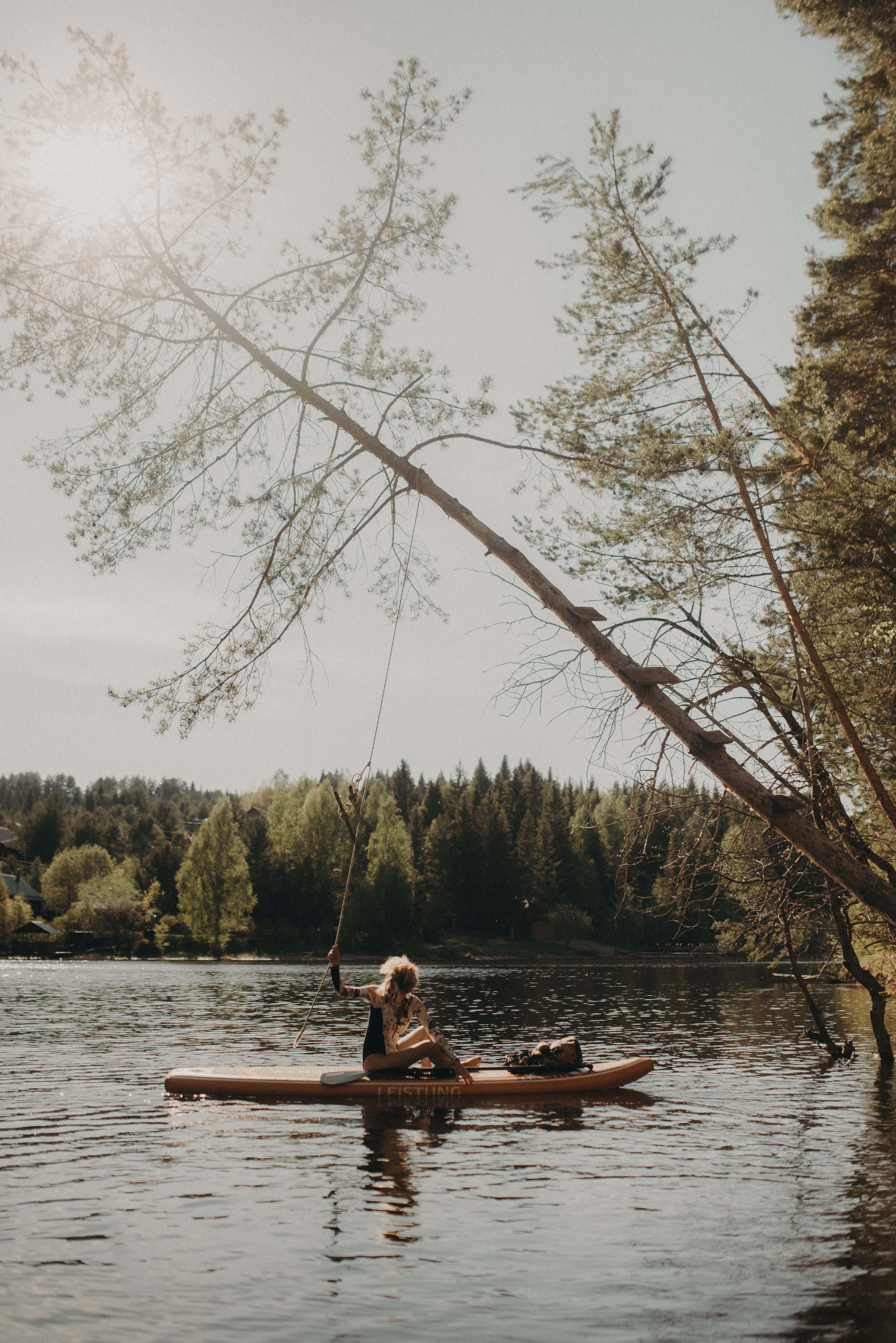 Шалаш среди леса. Главная
