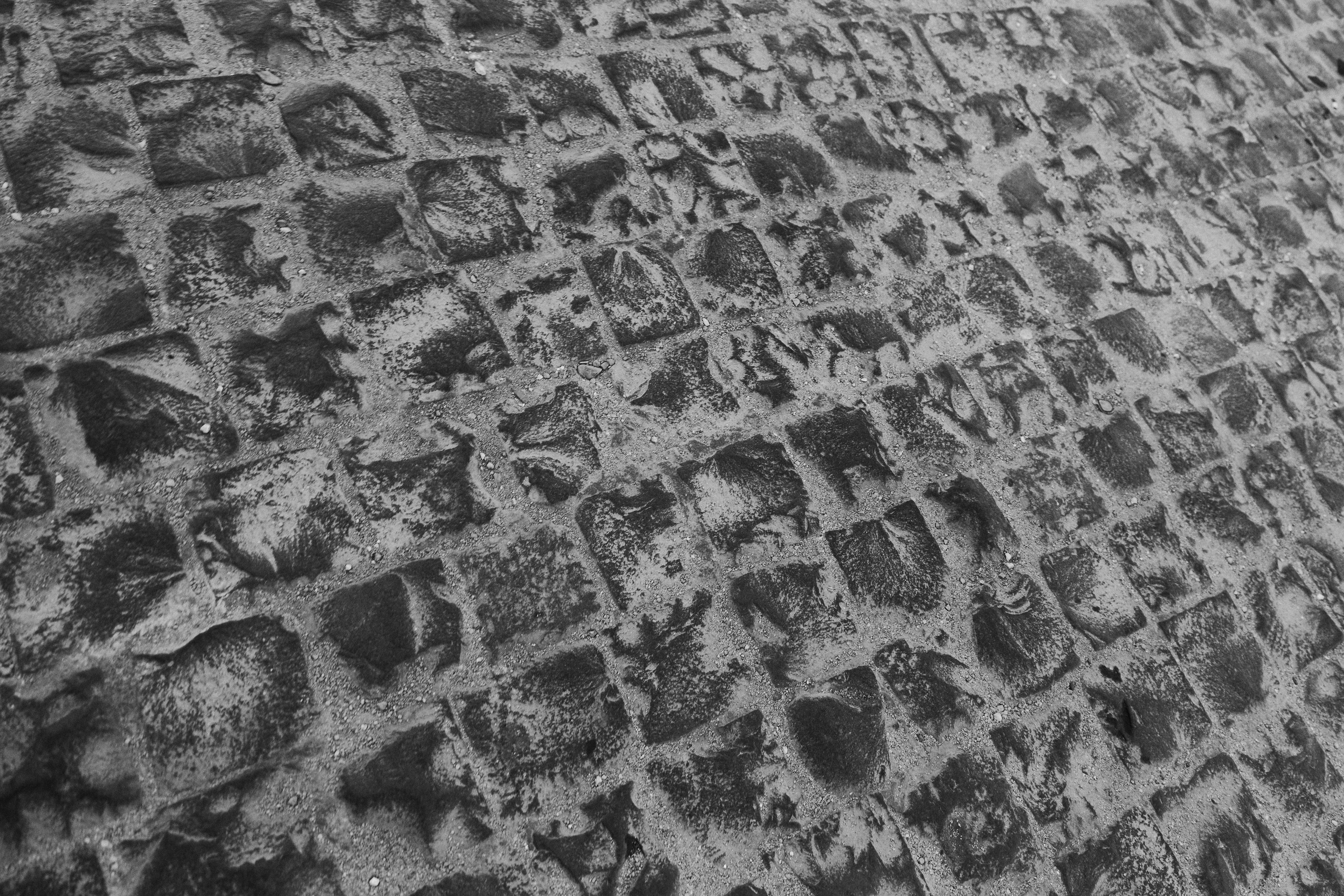 Другое 4. Jorgis — фотограф в Хургаде / обучение фотографии