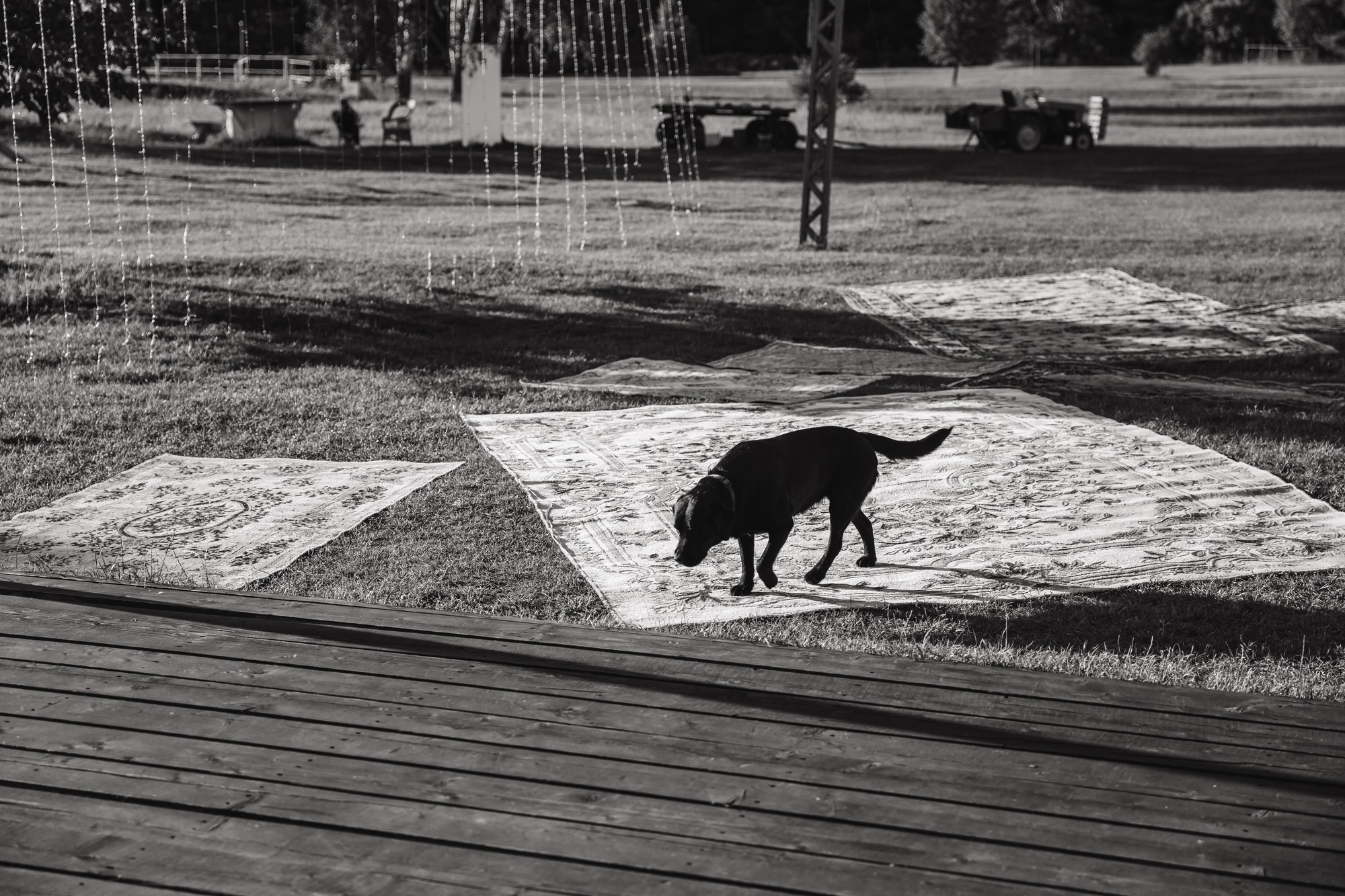 Свадьба в стиле вечеринки. Владимир Киселев — свадебный фотограф в Москве и по всему миру