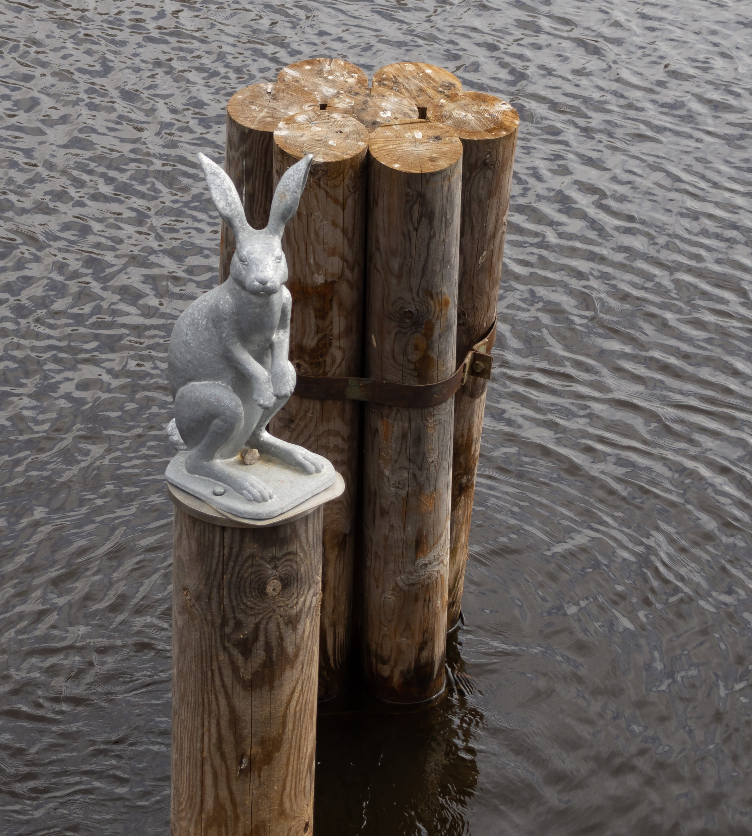 20220411-16 Санкт-Петербург. Дмитрий Ремизов. Фотография, как хобби