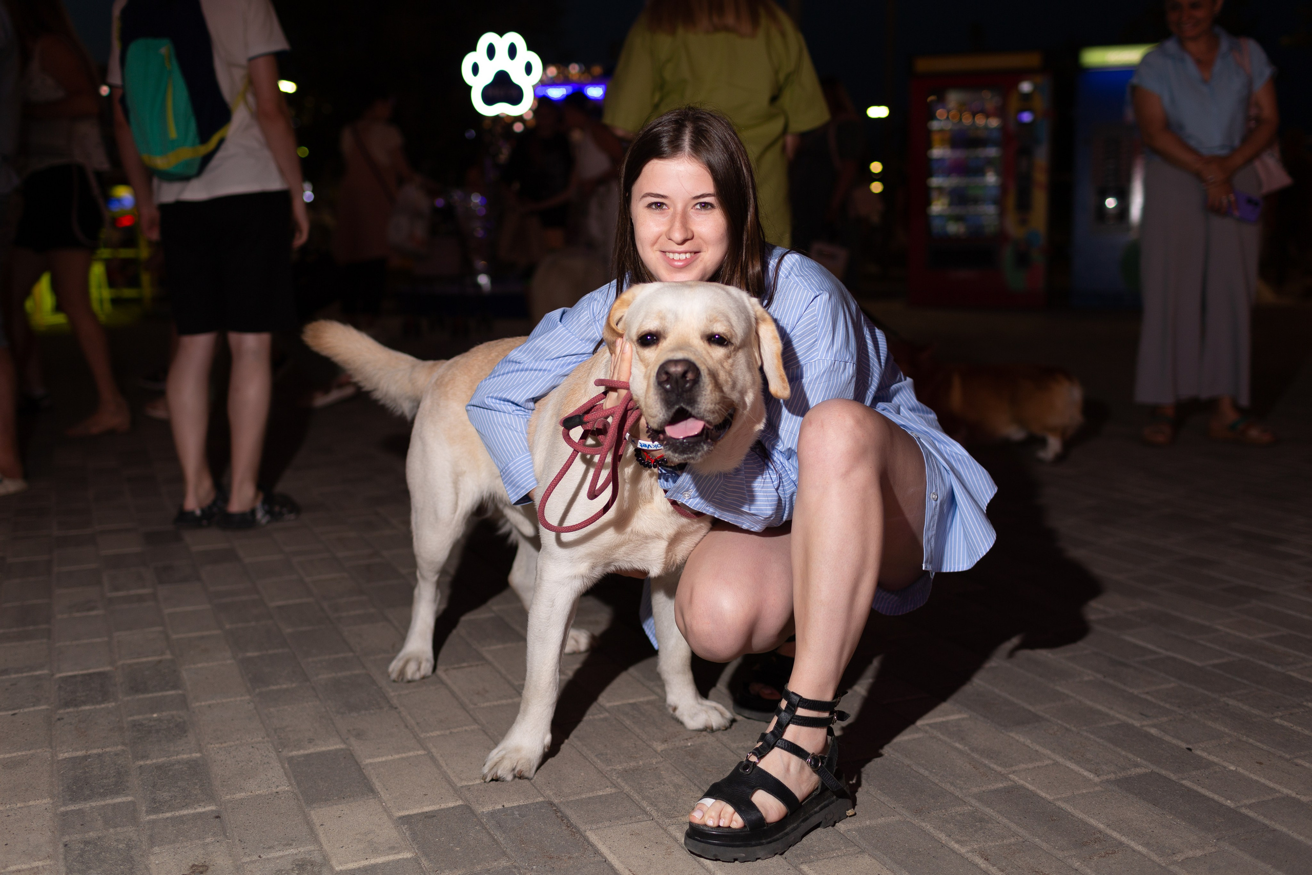 Dog Fest 2024. Главная