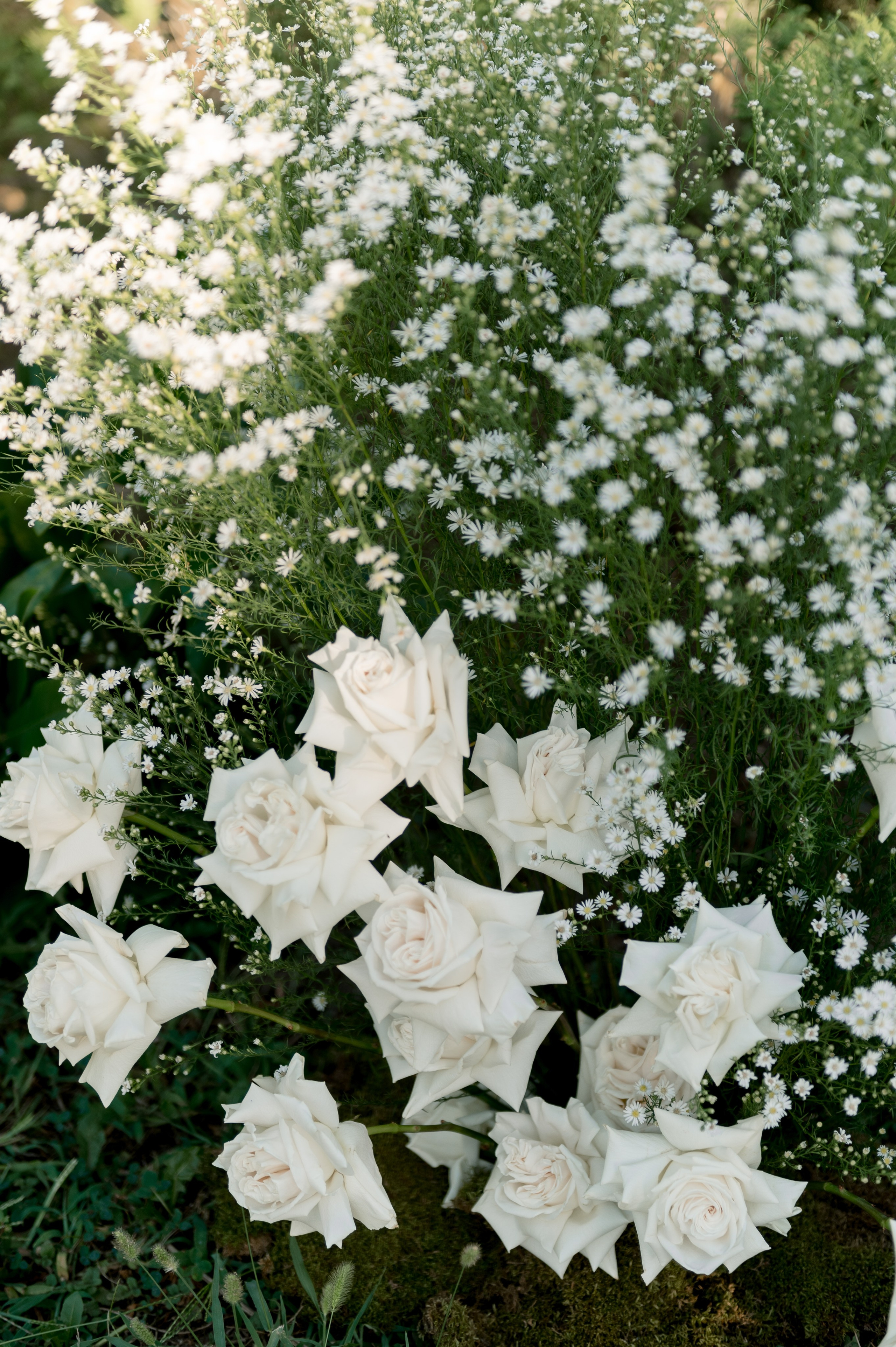 Павел и Алина. Главная