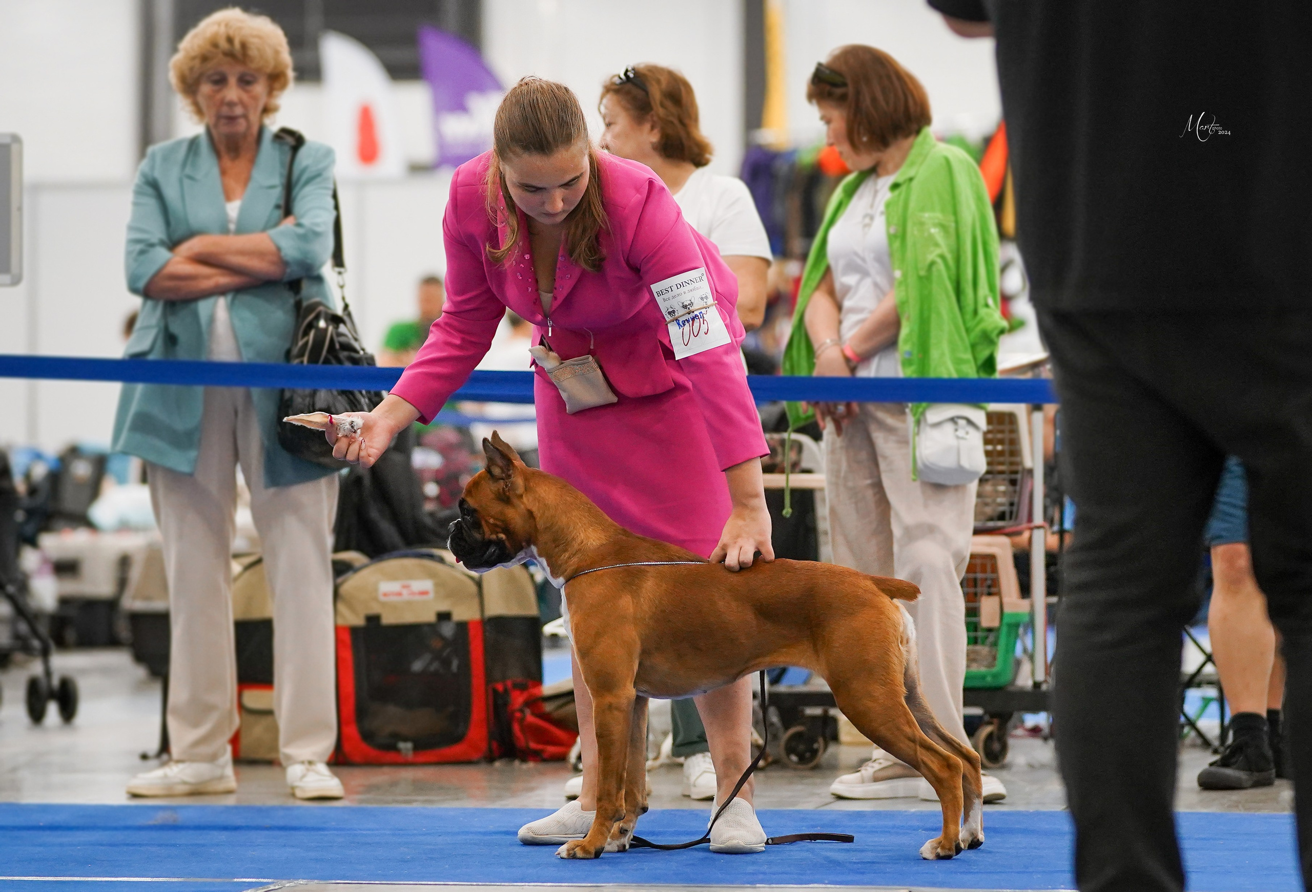 Выставки 2024. Фотограф-анималист в Санкт-Петербурге Яна Мартынова