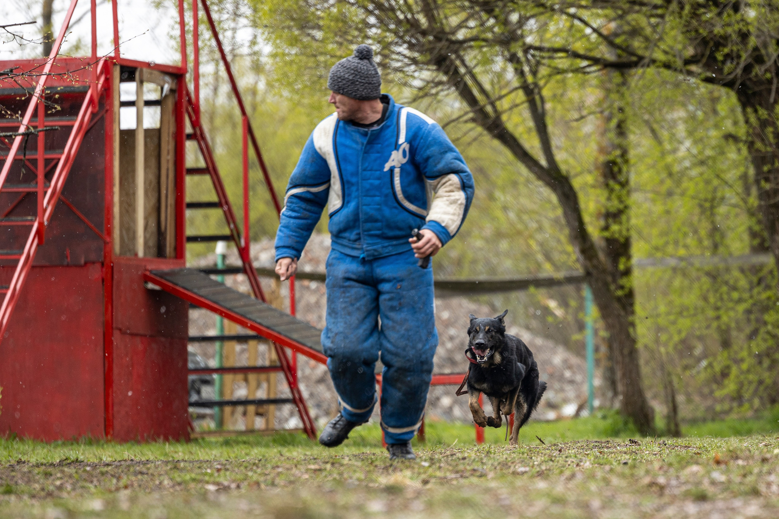 Квалификационные состязания по мондьорингу г. Вологда 11.05.24. Фотограф-анималист Анна Маринич