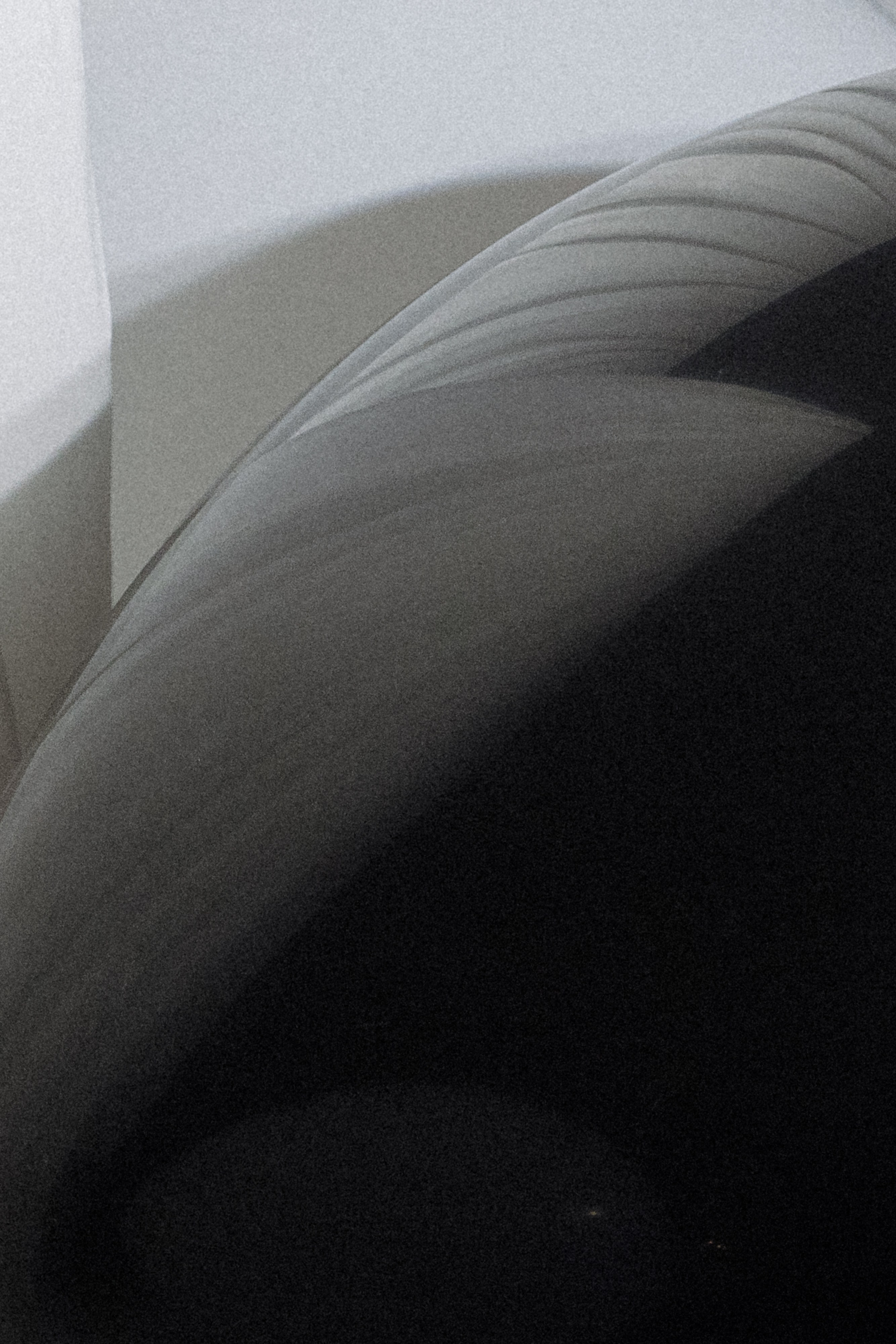 Workshop. Свадебный фотограф Колесников Антон