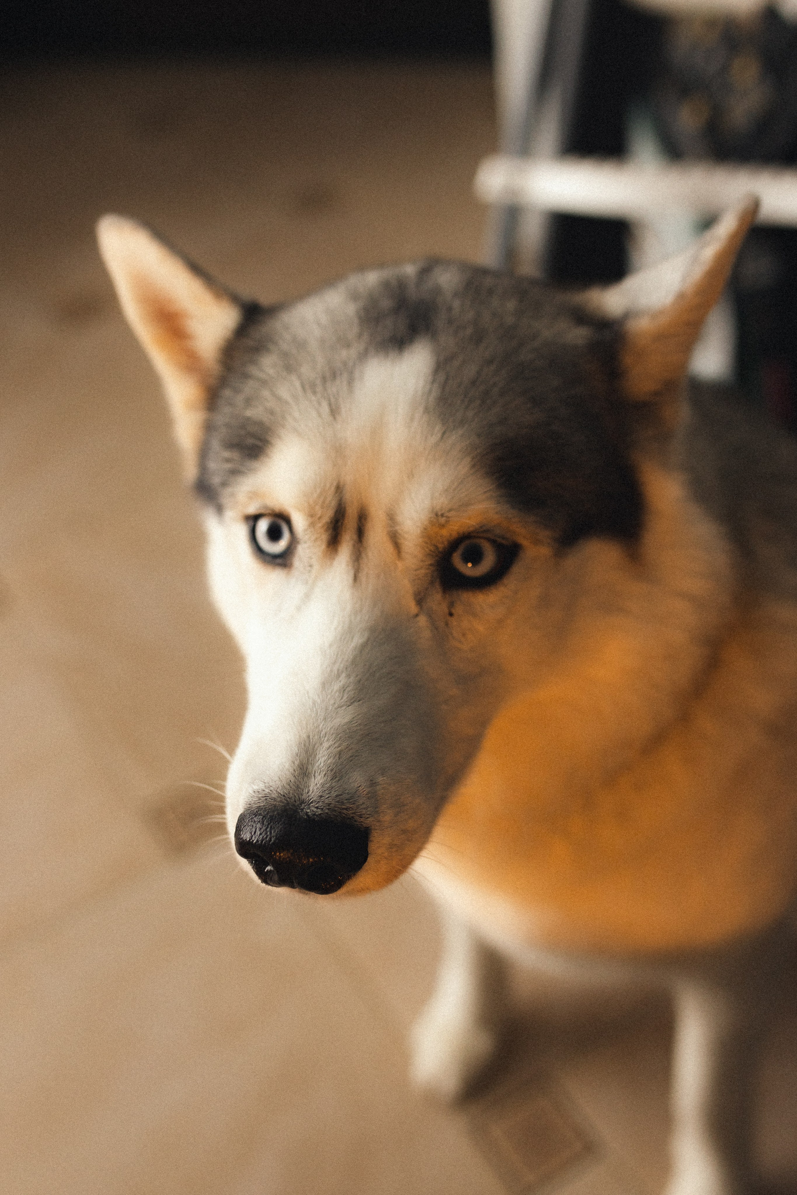 Блинная вечеринка. Фотограф из Петербурга