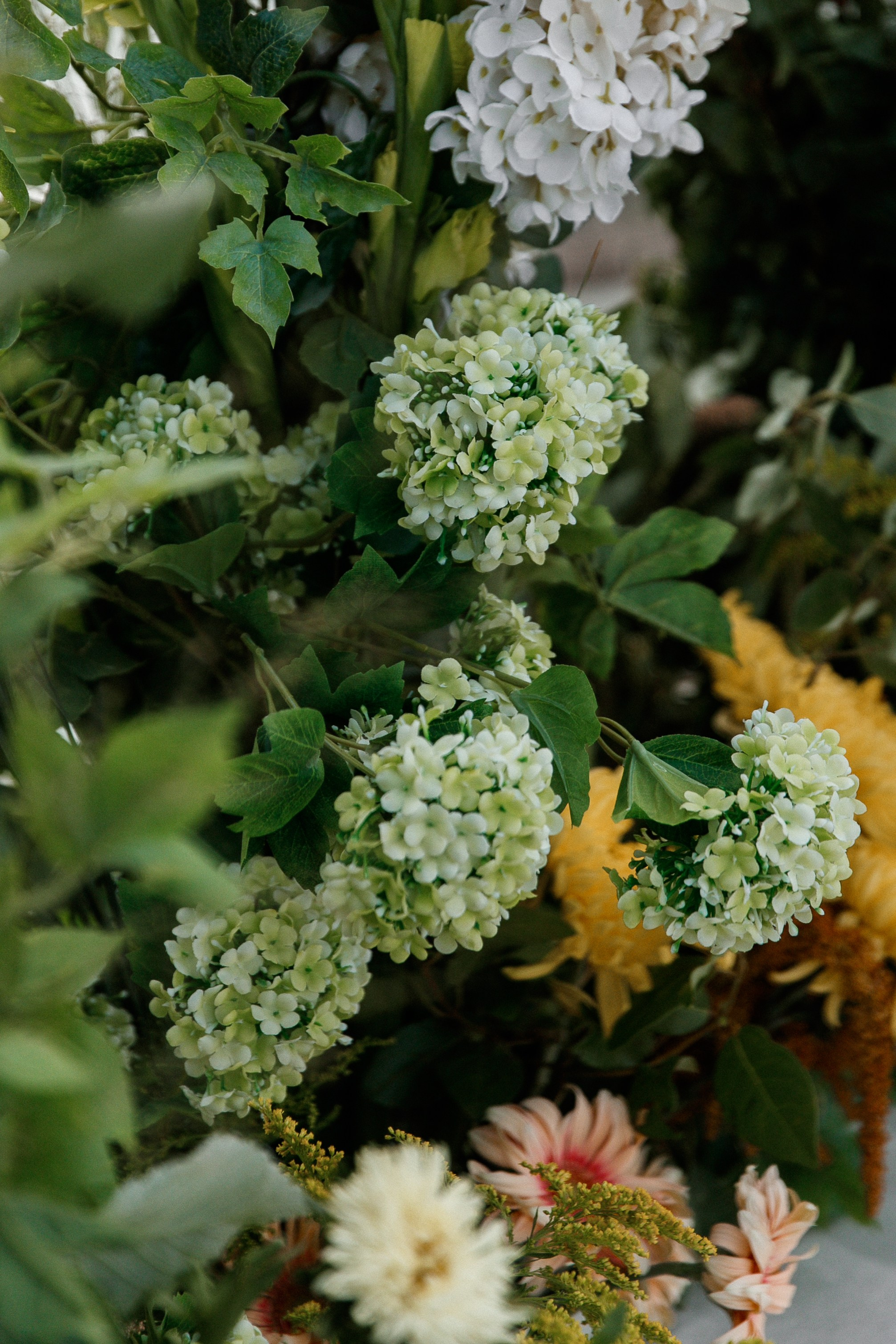 Чингиз и Ася. Свадебный и семейный фотограф Краснодар, Ростов, Сочи Ульяна Федорченк