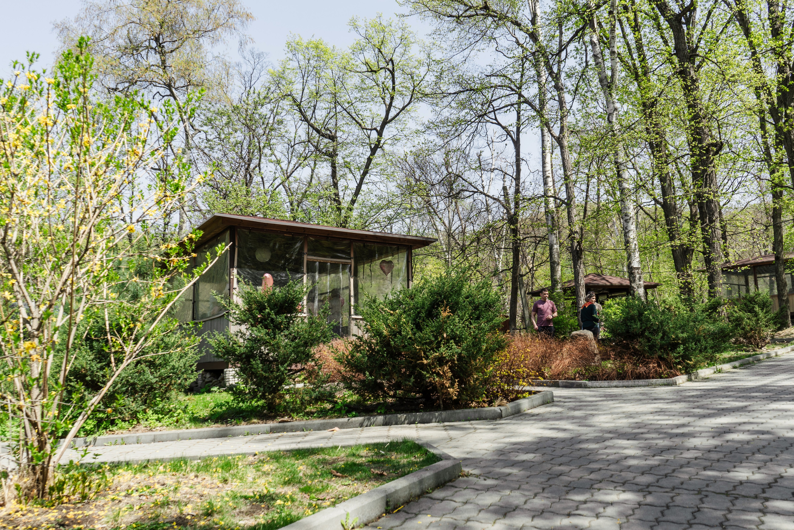 День рождения в парке. Семейный и детский фотограф во Владивостоке Мария Гой