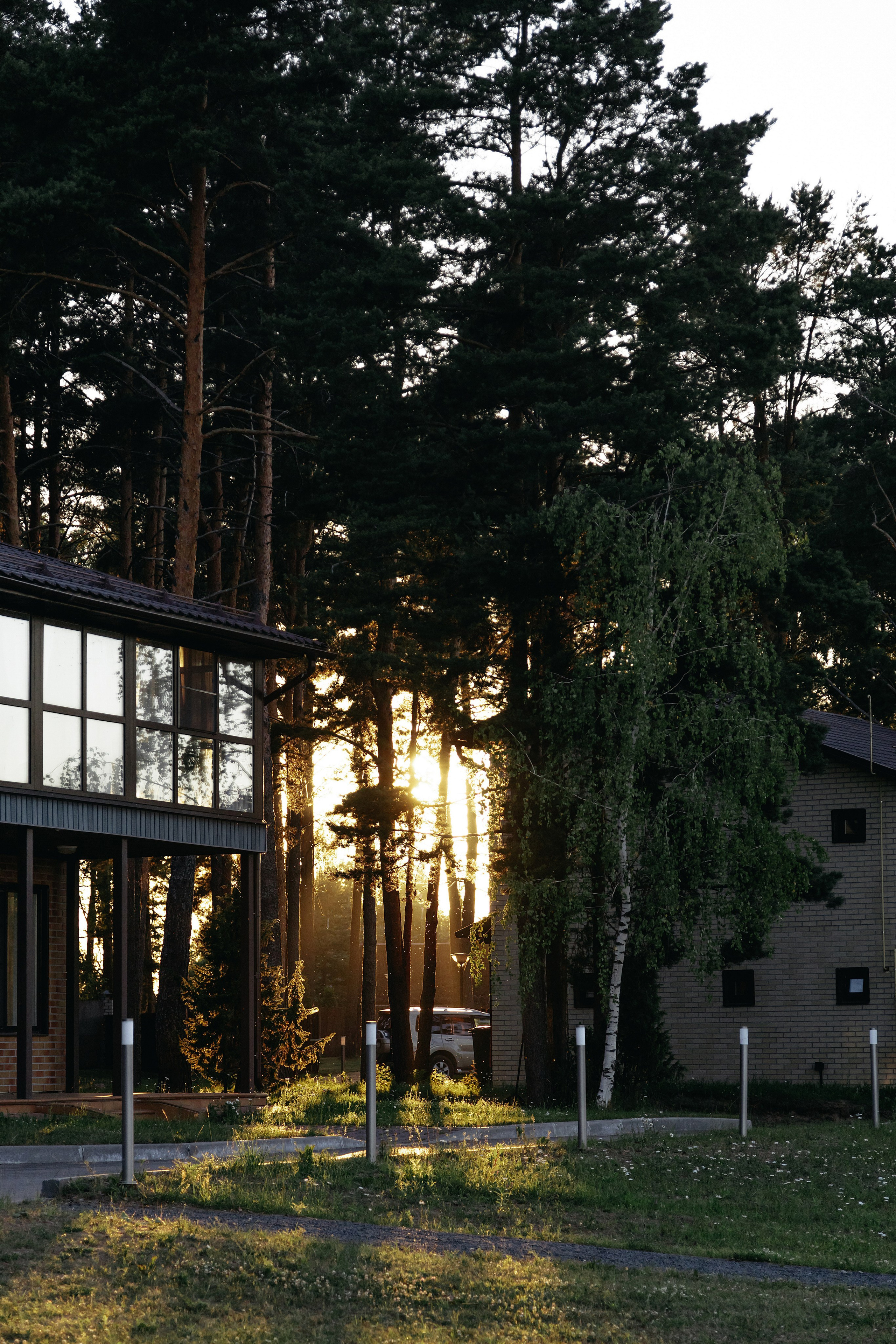 Алина и Саша. Свадебный фотограф в Пскове и Санкт-Петербурге | Анна Голикова