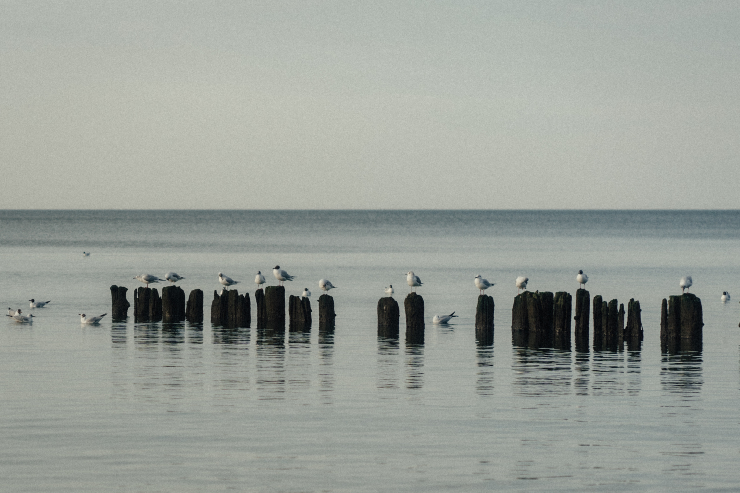 Однажды в Калининграде. Семейный фотограф в Калининграде Елена Глазунова