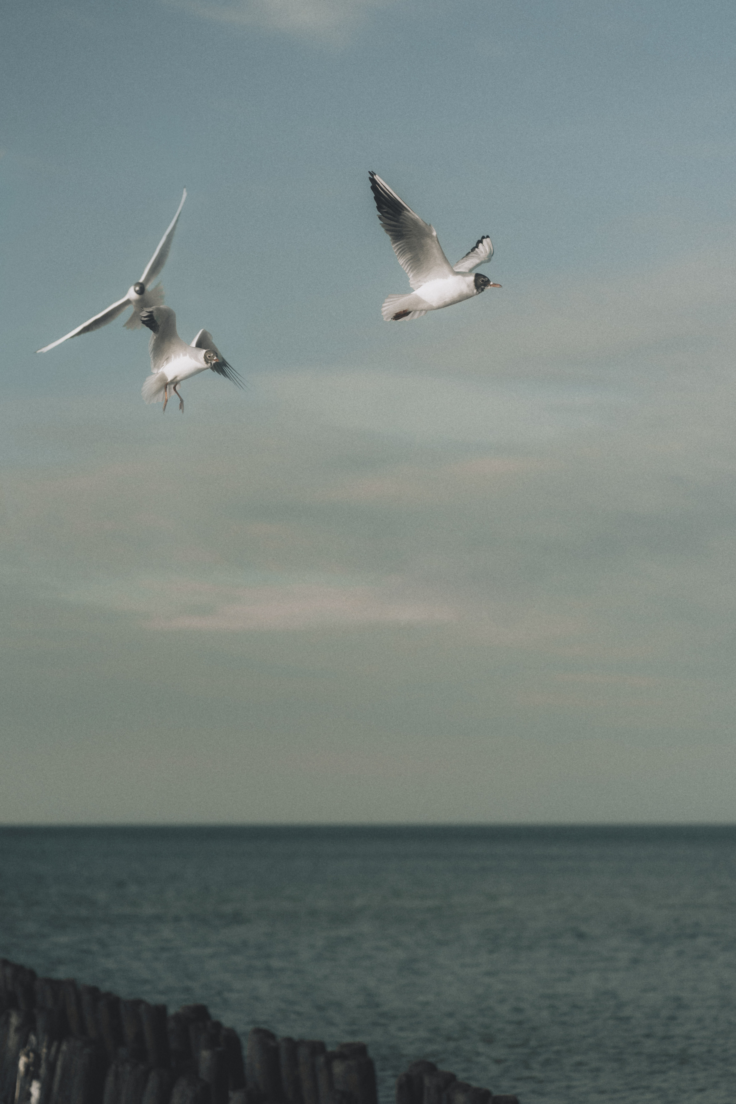 Однажды в Калининграде. Семейный фотограф в Калининграде Елена Глазунова