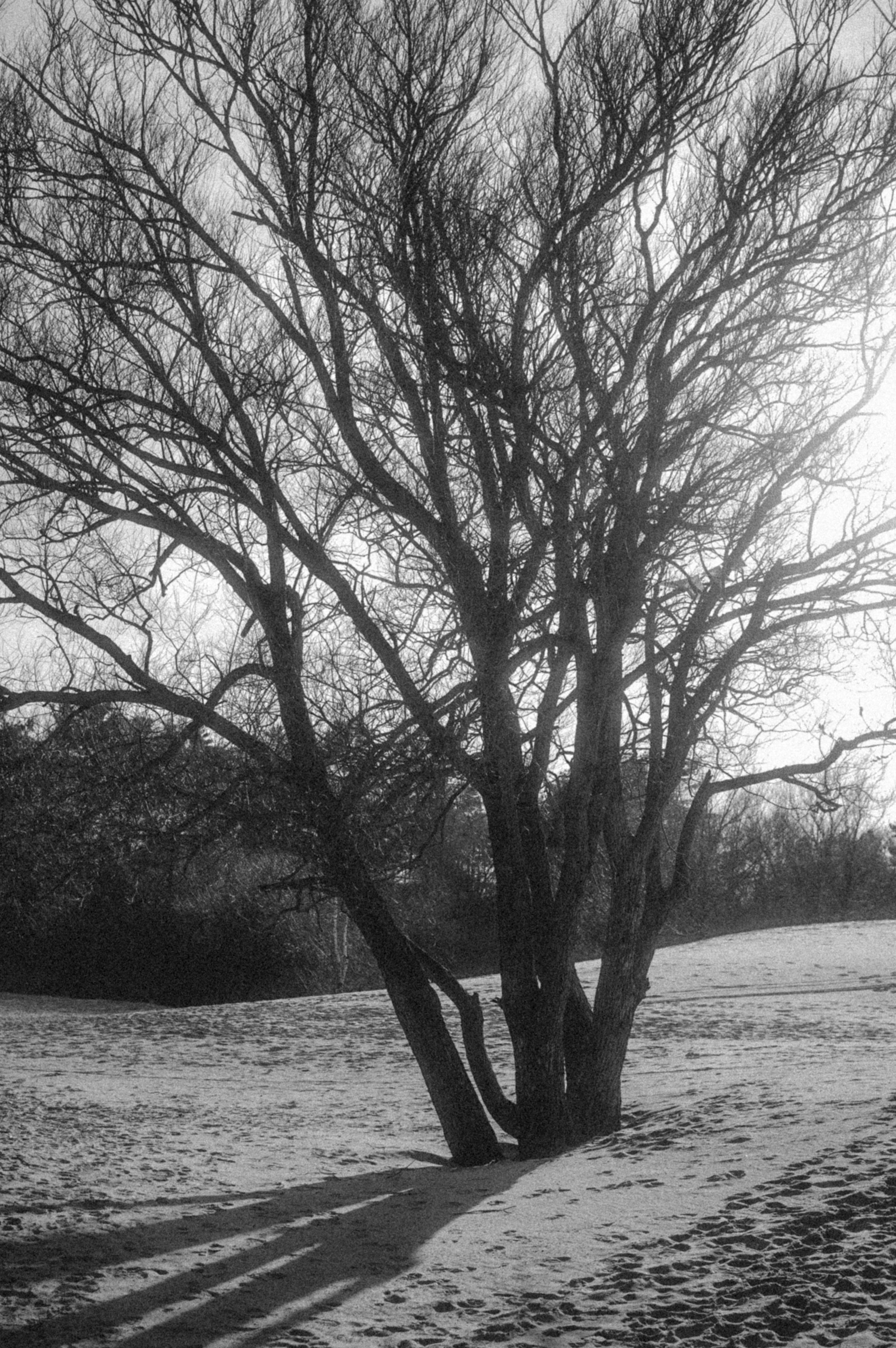 Однажды в Калининграде. Семейный фотограф в Калининграде Елена Глазунова