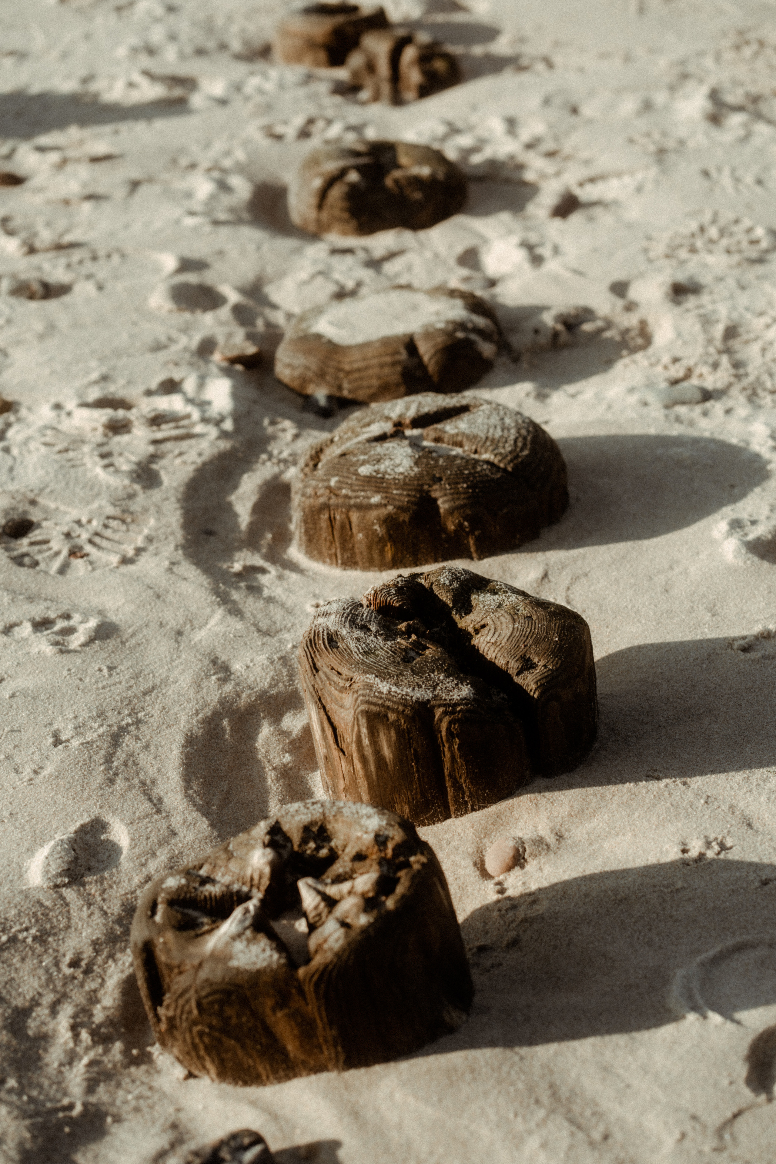 Там, где небо сливается с морем. Семейный фотограф в Калининграде Елена Глазунова