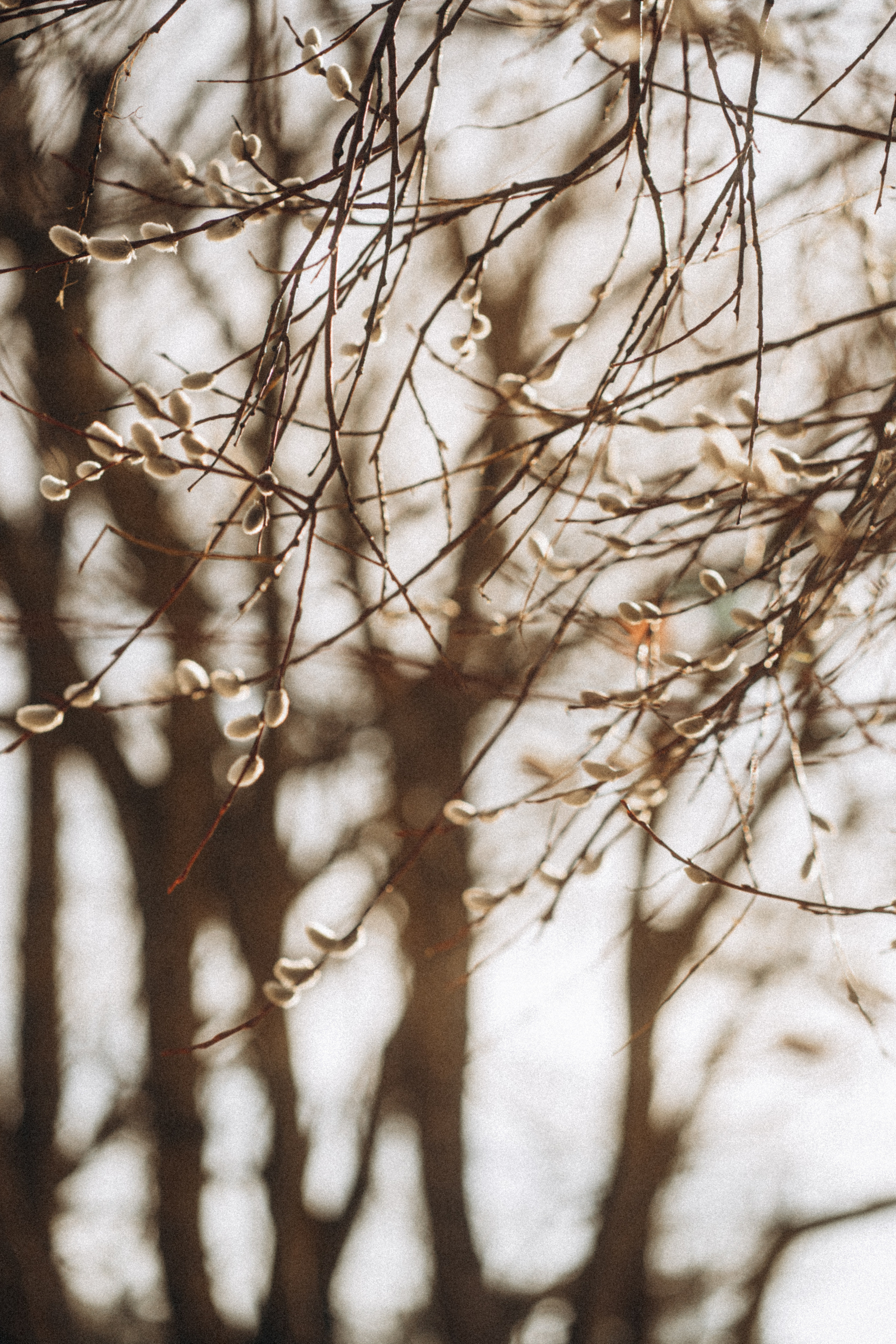 Там, где небо сливается с морем. Семейный фотограф в Калининграде Елена Глазунова