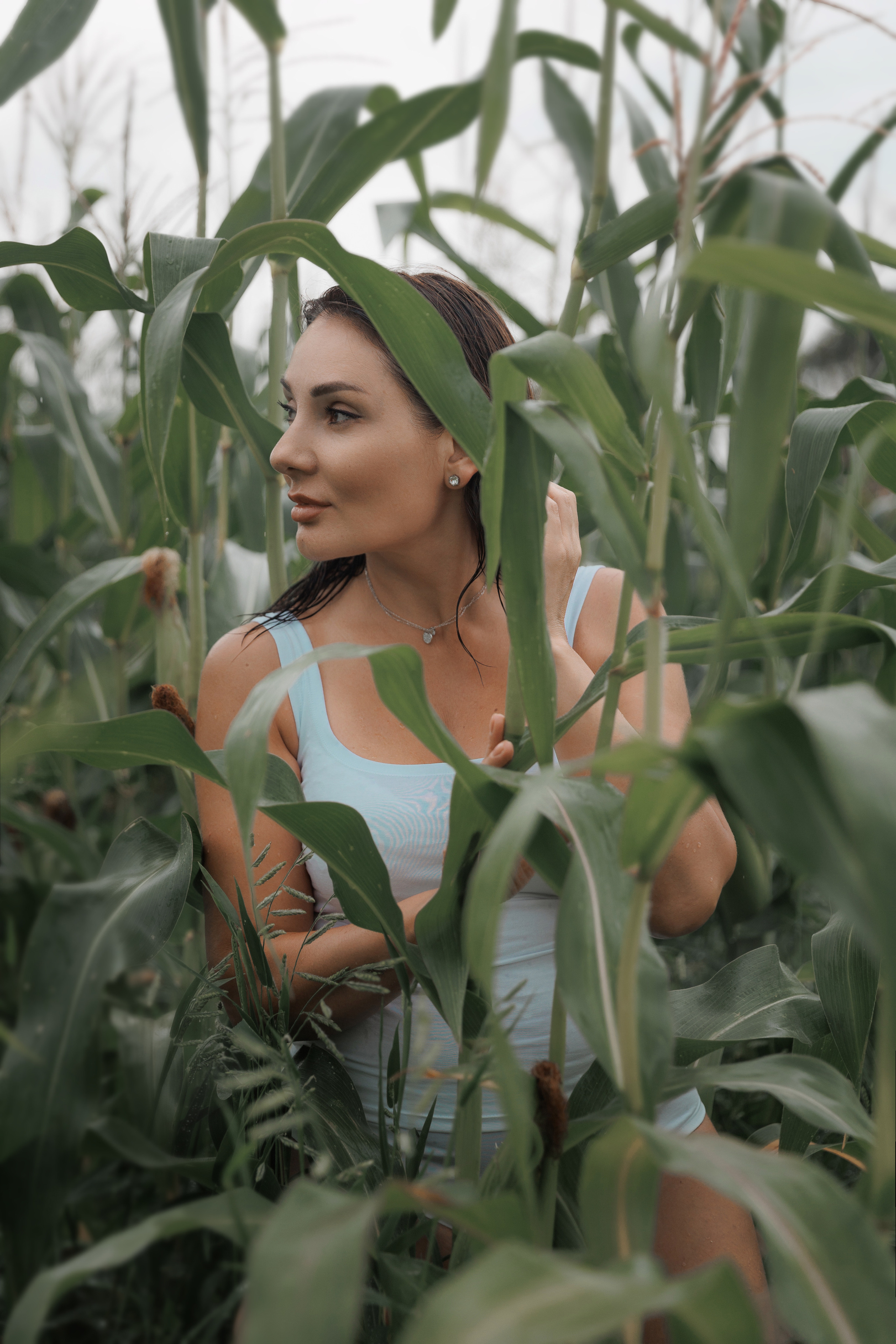 Марина в пшенице. Фотограф женского портрета, беременности и материнства Харькова Елена