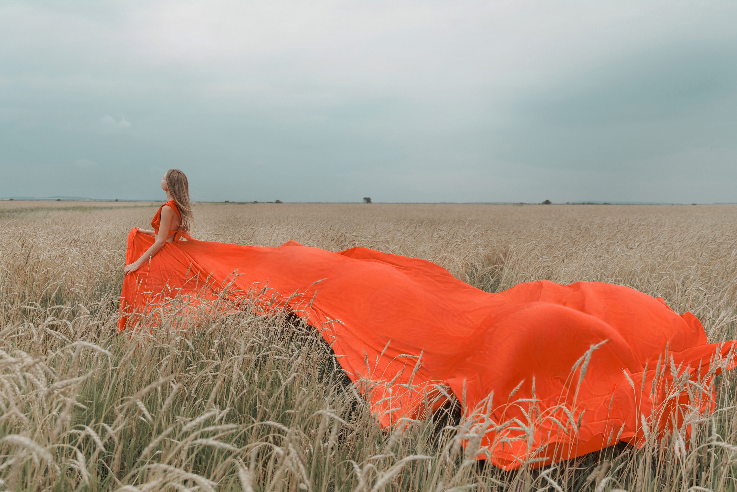 Любовь в подсолнухах и пшенице. Фотограф женского портрета, беременности и материнства Харькова Елена