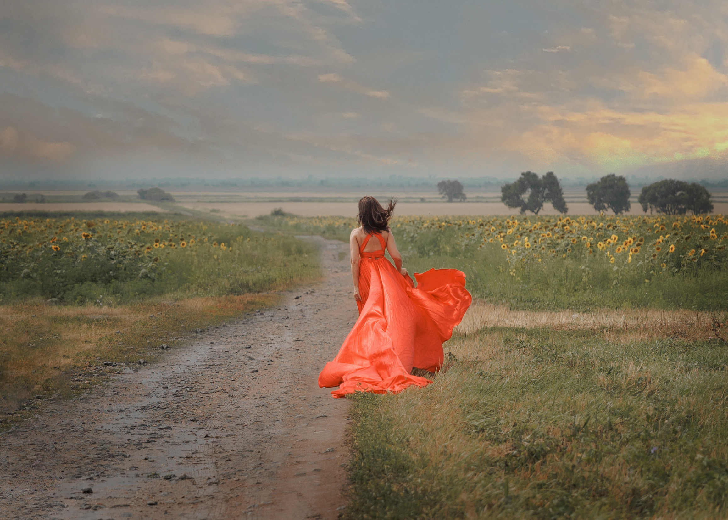 Марина в пшенице. Фотограф женского портрета, беременности и материнства Харькова Елена