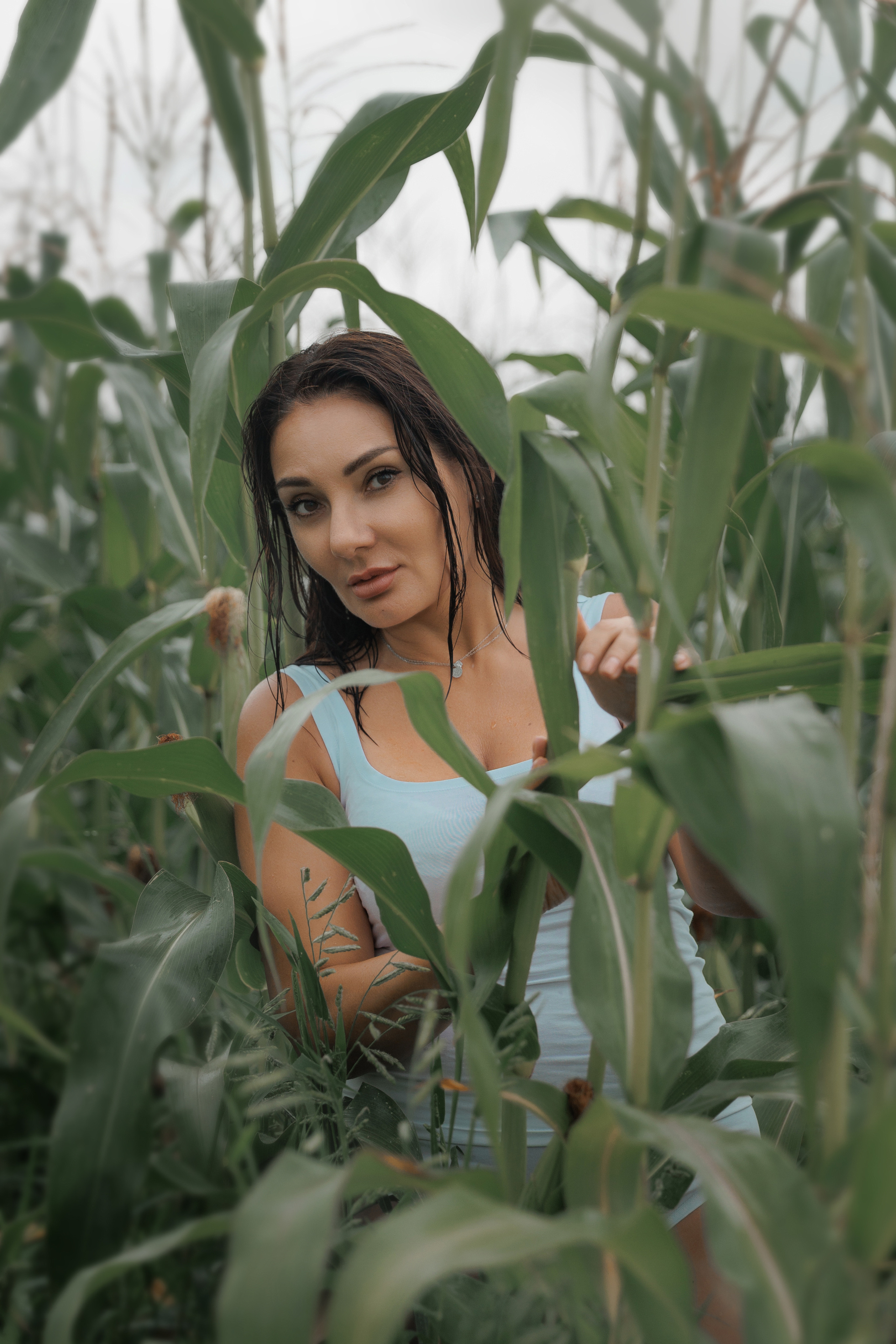 Марина в пшенице. Фотограф женского портрета, беременности и материнства Харькова Елена