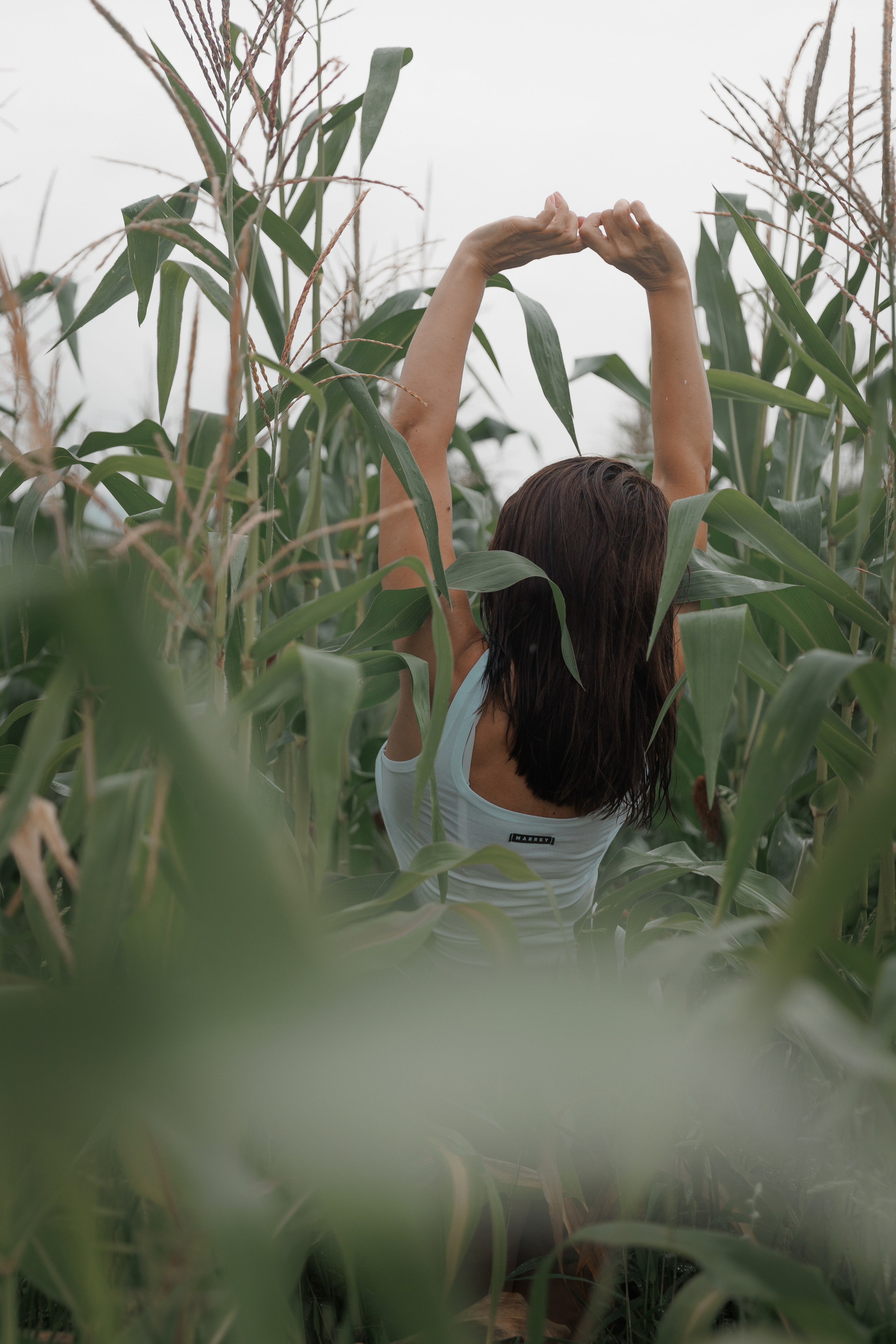 Марина в пшенице. Фотограф женского портрета, беременности и материнства Харькова Елена