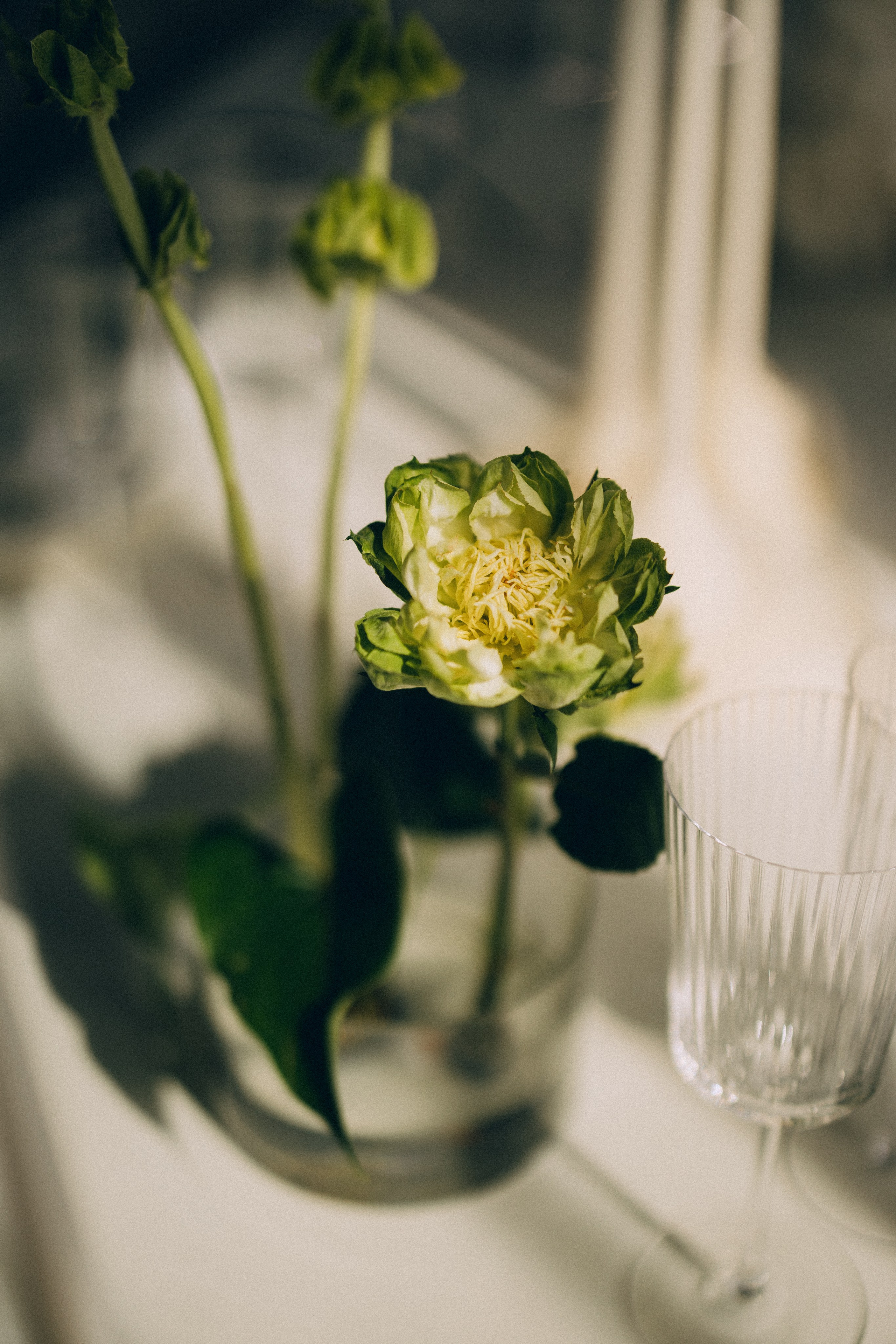 Вот это да, у меня теперь есть жена…. Daria Chigintseva Photographer