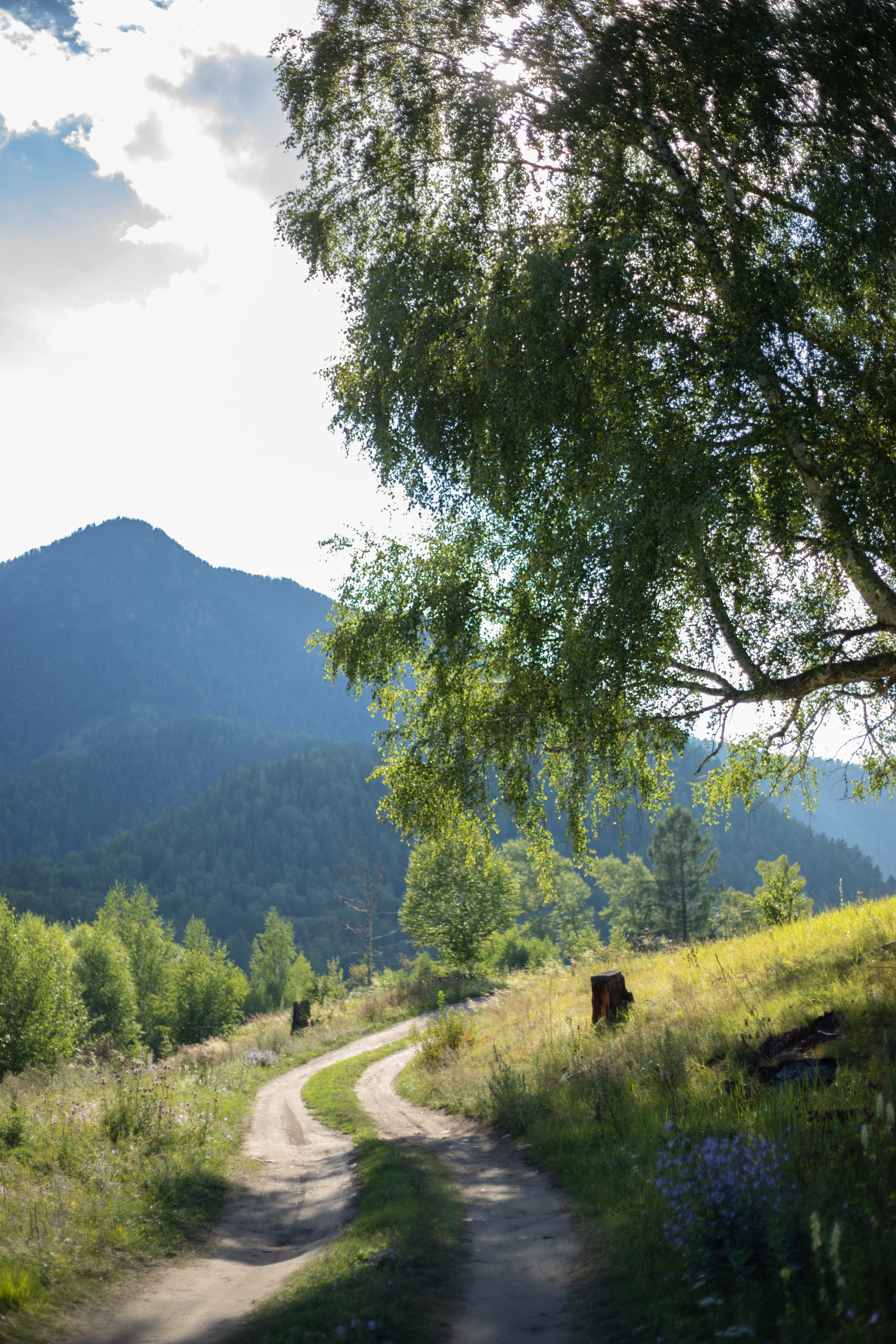 Йога-тур Алтай. Портретный фотограф в Санкт-Петербурге