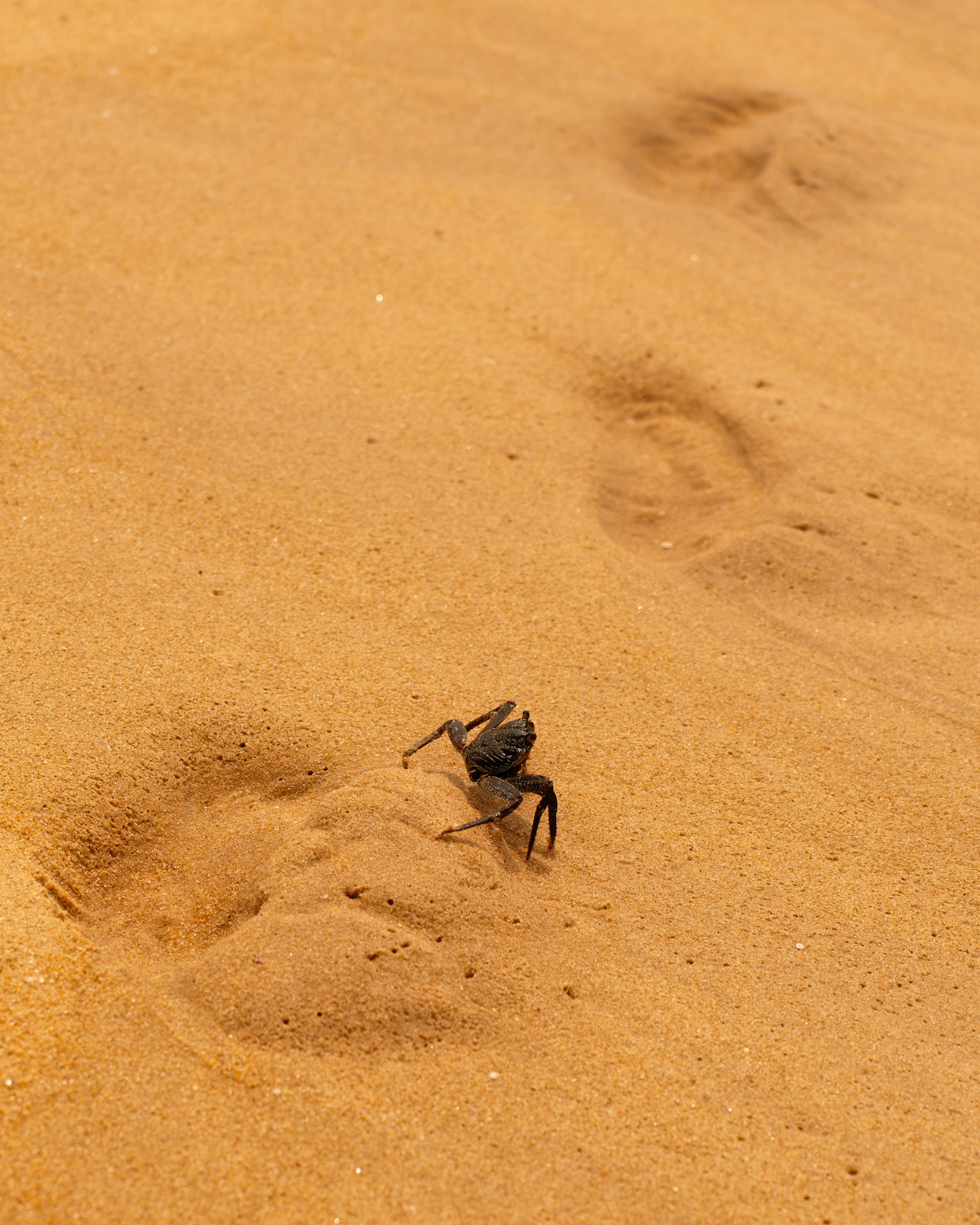 Ktokuda. Фотограф в Хабаровске. Фотография за 24 часа