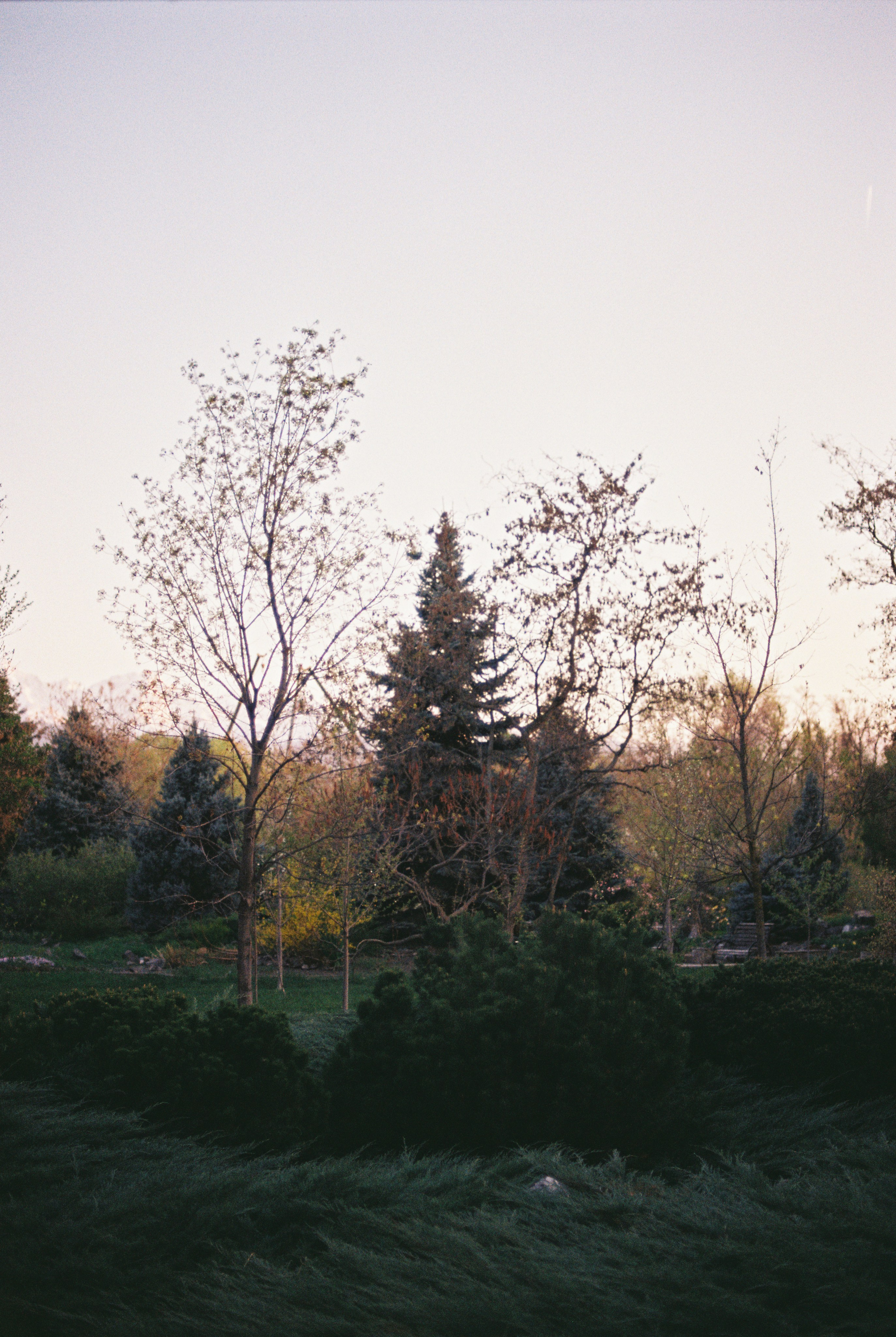 Ботанический сад, апрель 2026. Репортажный и портретный фотограф в Алматы — Дарья Фёдорова
