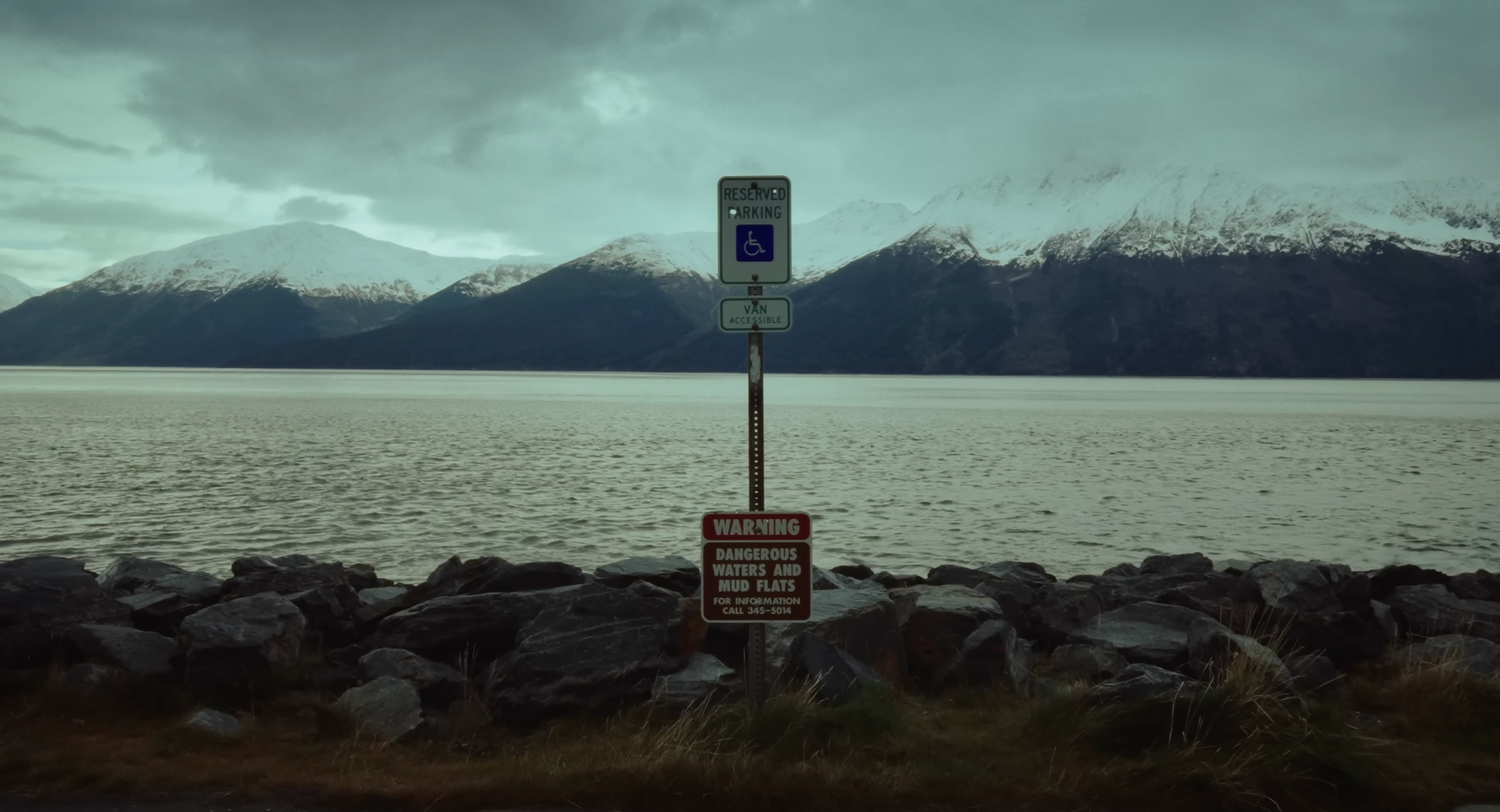 My transformation or how I became homeless in the USA. Tokcolor