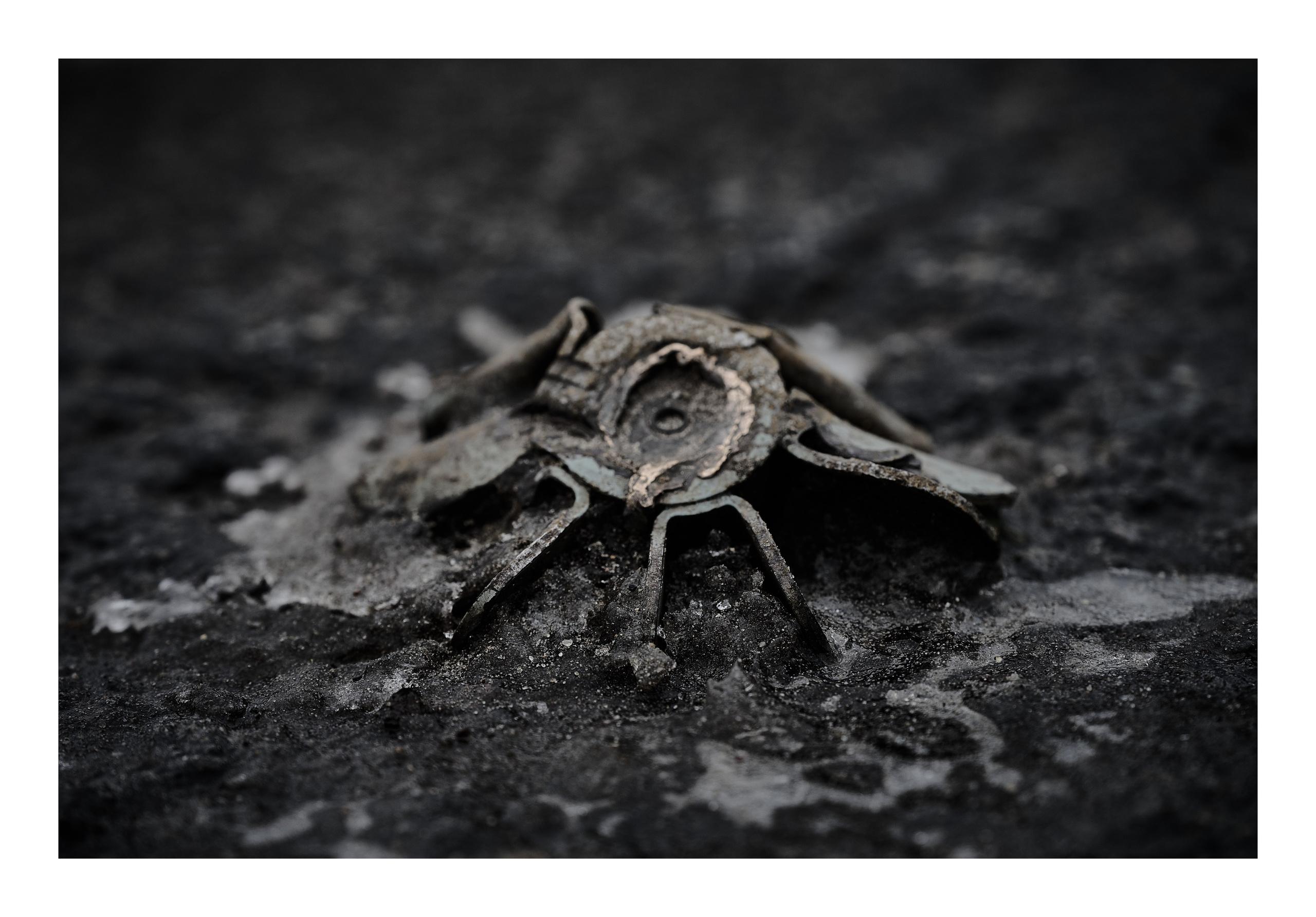 Фотопринты А3. Фотопроект «Территории»