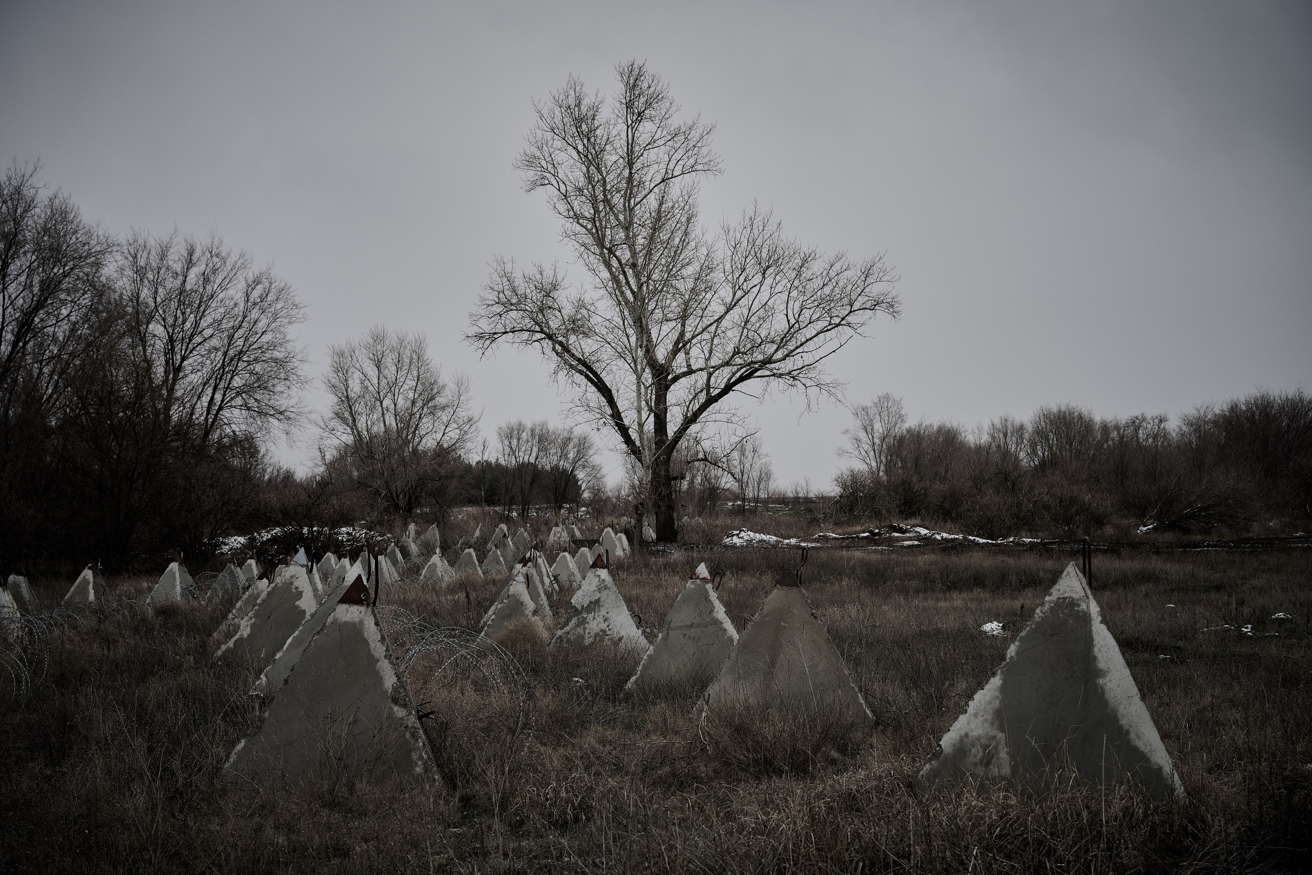 Фото для презентации фотопроекта «Территории». Фотопроект «Территории»