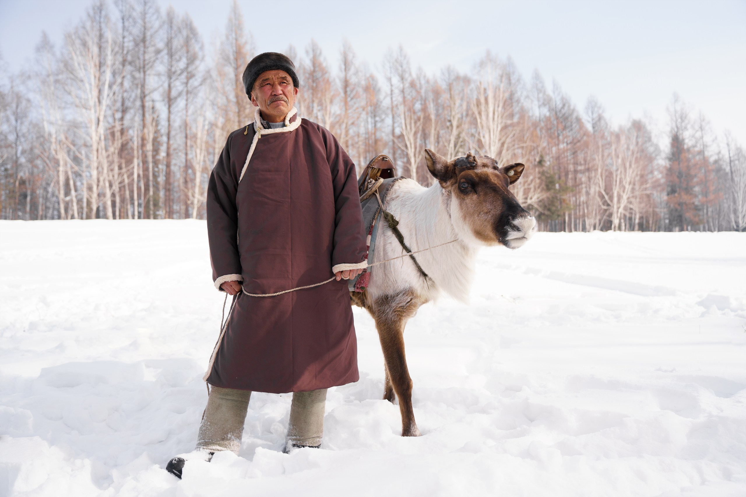 В олене жизнь. Фотограф в Красноярске Нерозя Александр. Пейзаж, природа, портрет