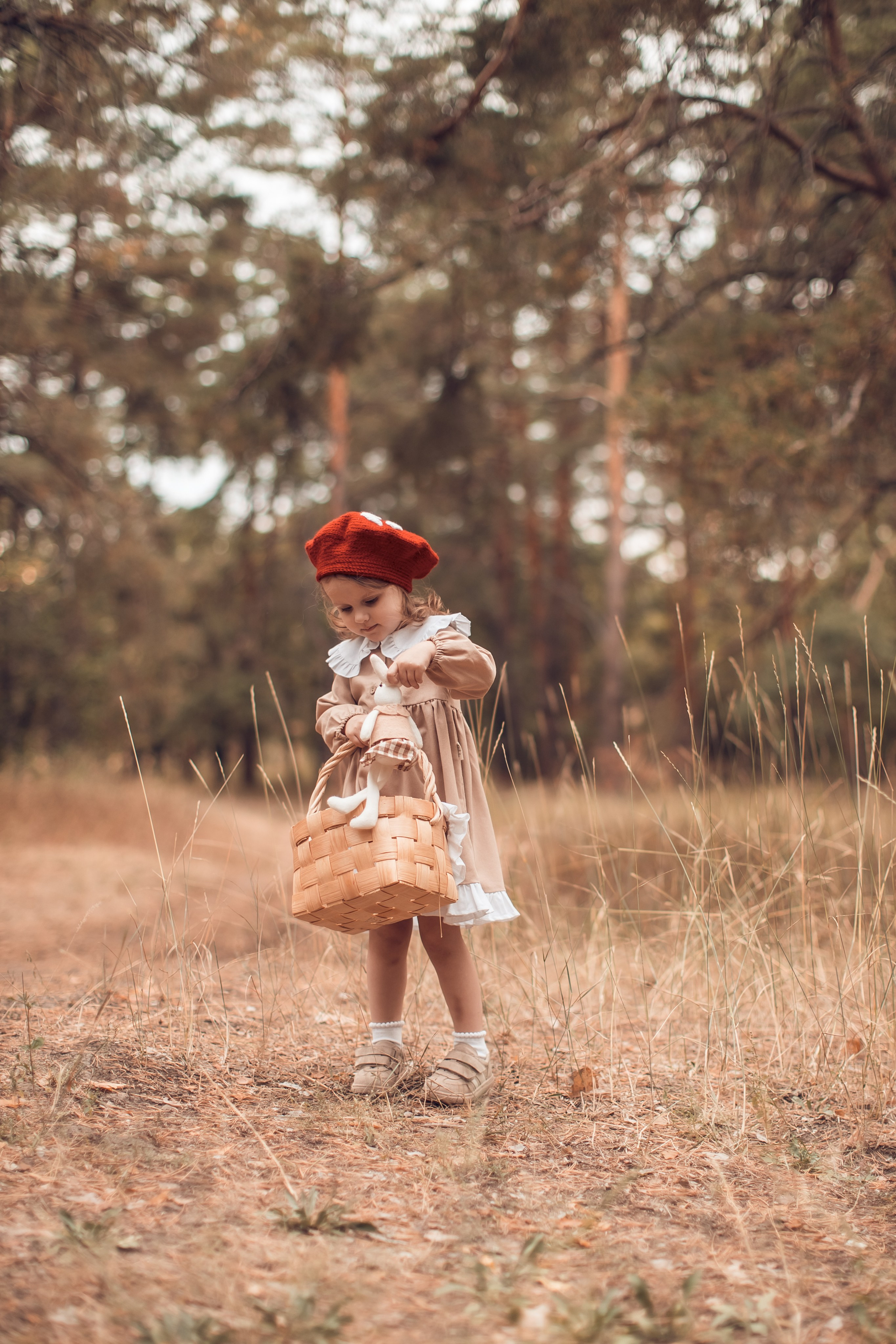 Прогулка в Широком. Главная
