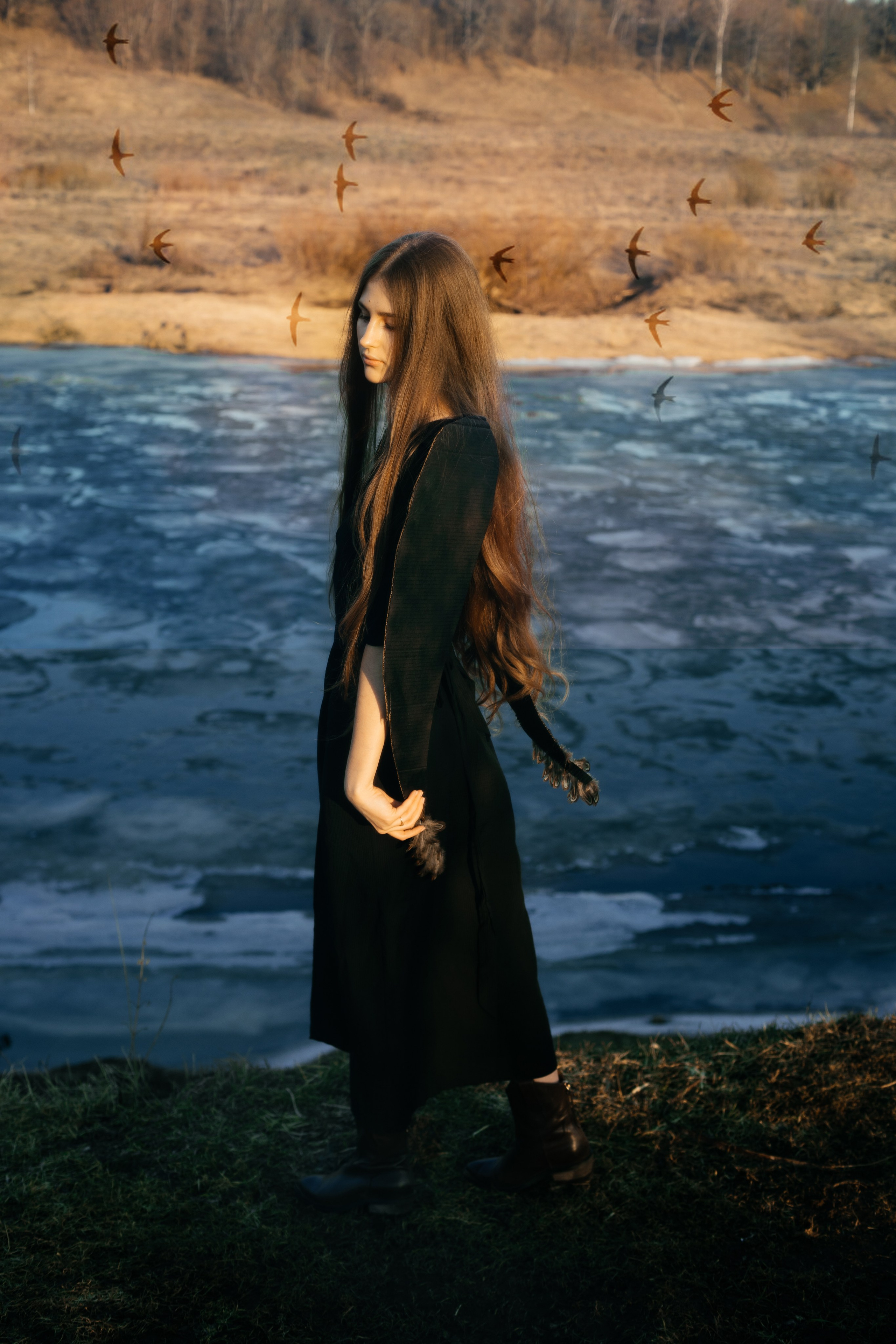 BIRD. Ваш фотограф Любовь Чистякова